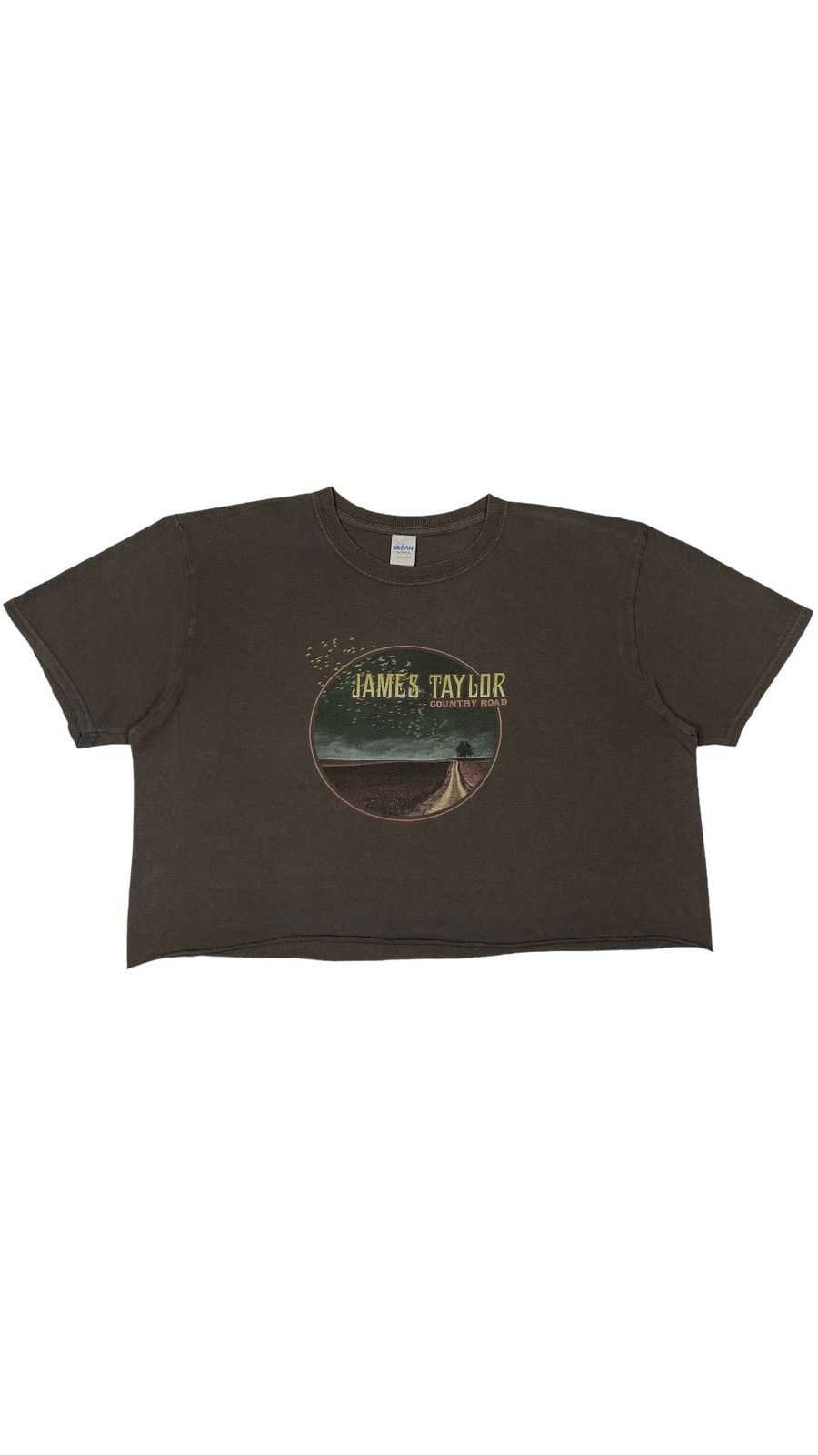 Band Tees 2018 James Taylor County Road Tour American Singer Crop Tee Hoodie, Sweatshirt | PodTeesHub.com