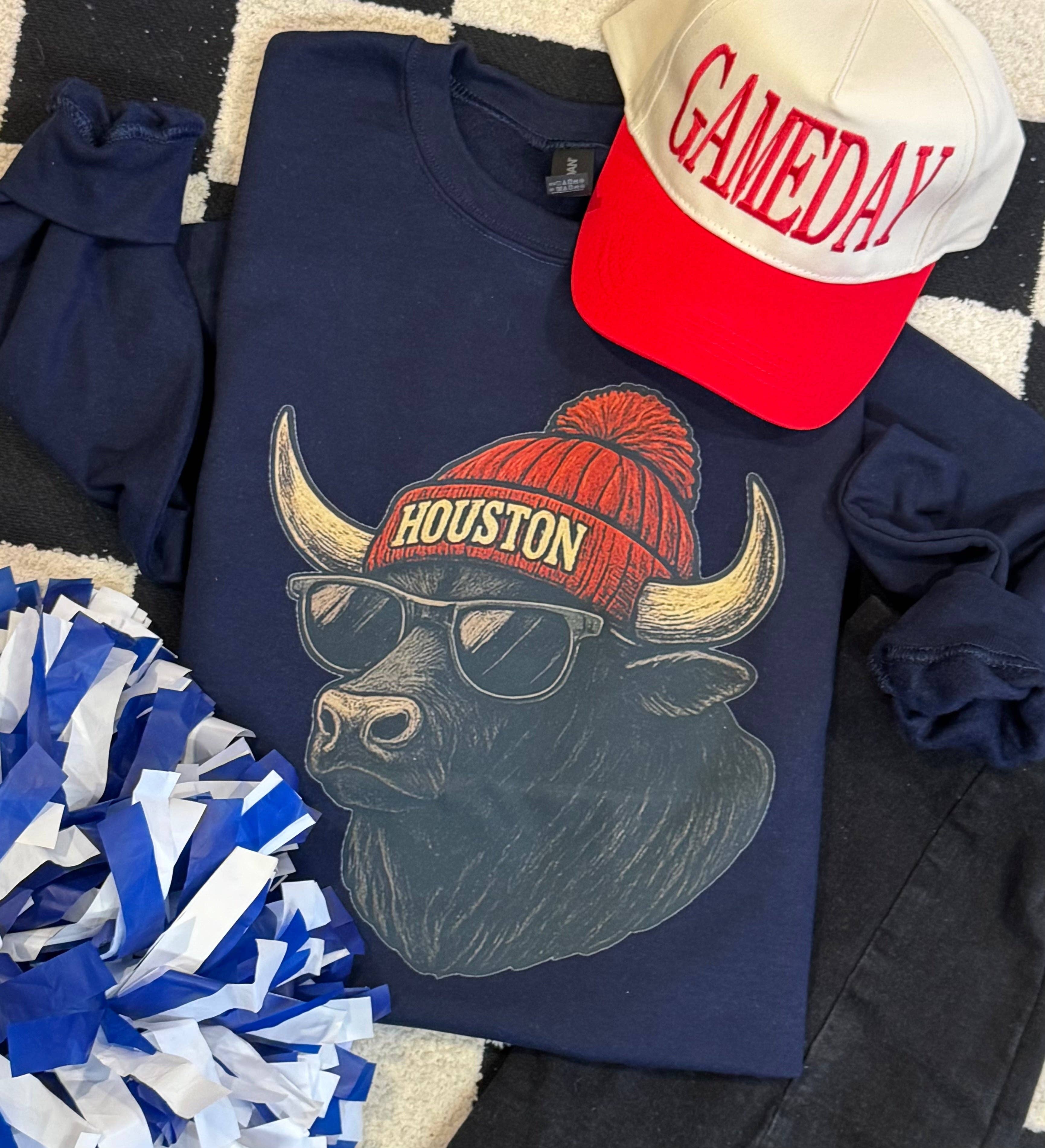 Houston Cool Mascot Sweatshirt T-Shirts, Hoodie | PodTeesHub.com