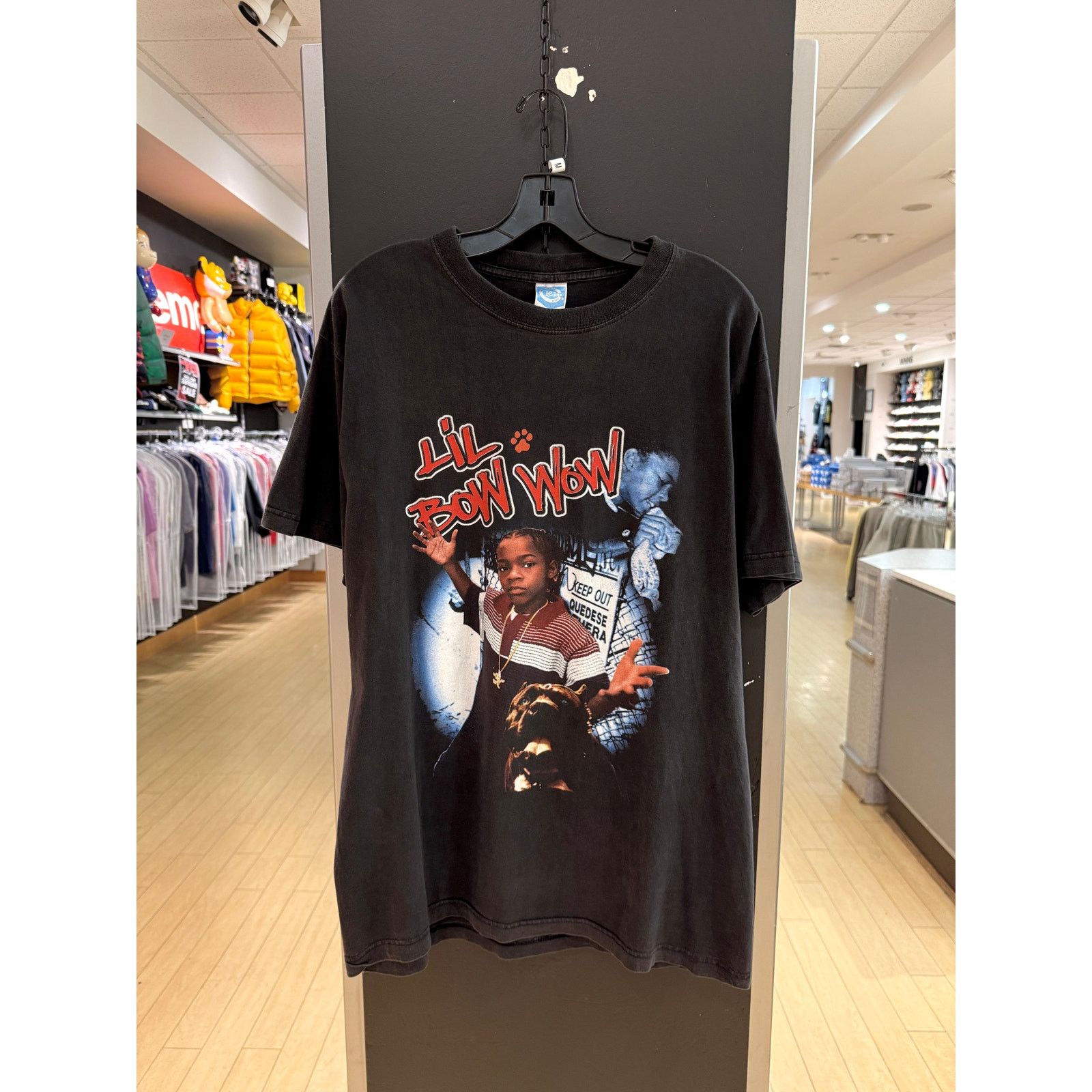 Vintage Y2k Lil Bow Wow Puppy Love Vintage Rap Tee Shirt Romeo Hoodie, Sweatshirt | PodTeesHub.com