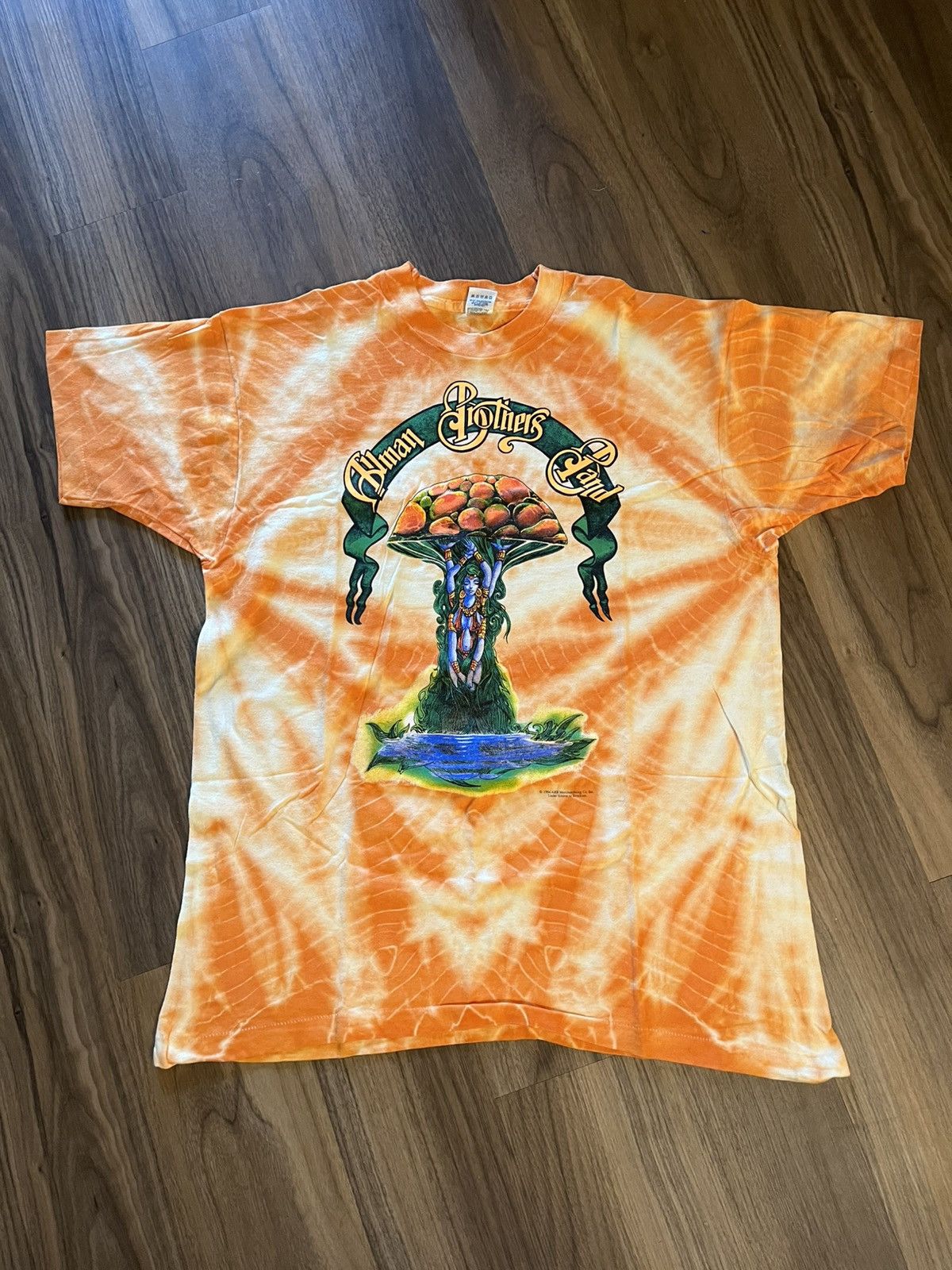 Band Tees Vintage 1994 Allman Brothers Band Concert T Shirt Xl Hoodie, Sweatshirt | PodTeesHub.com