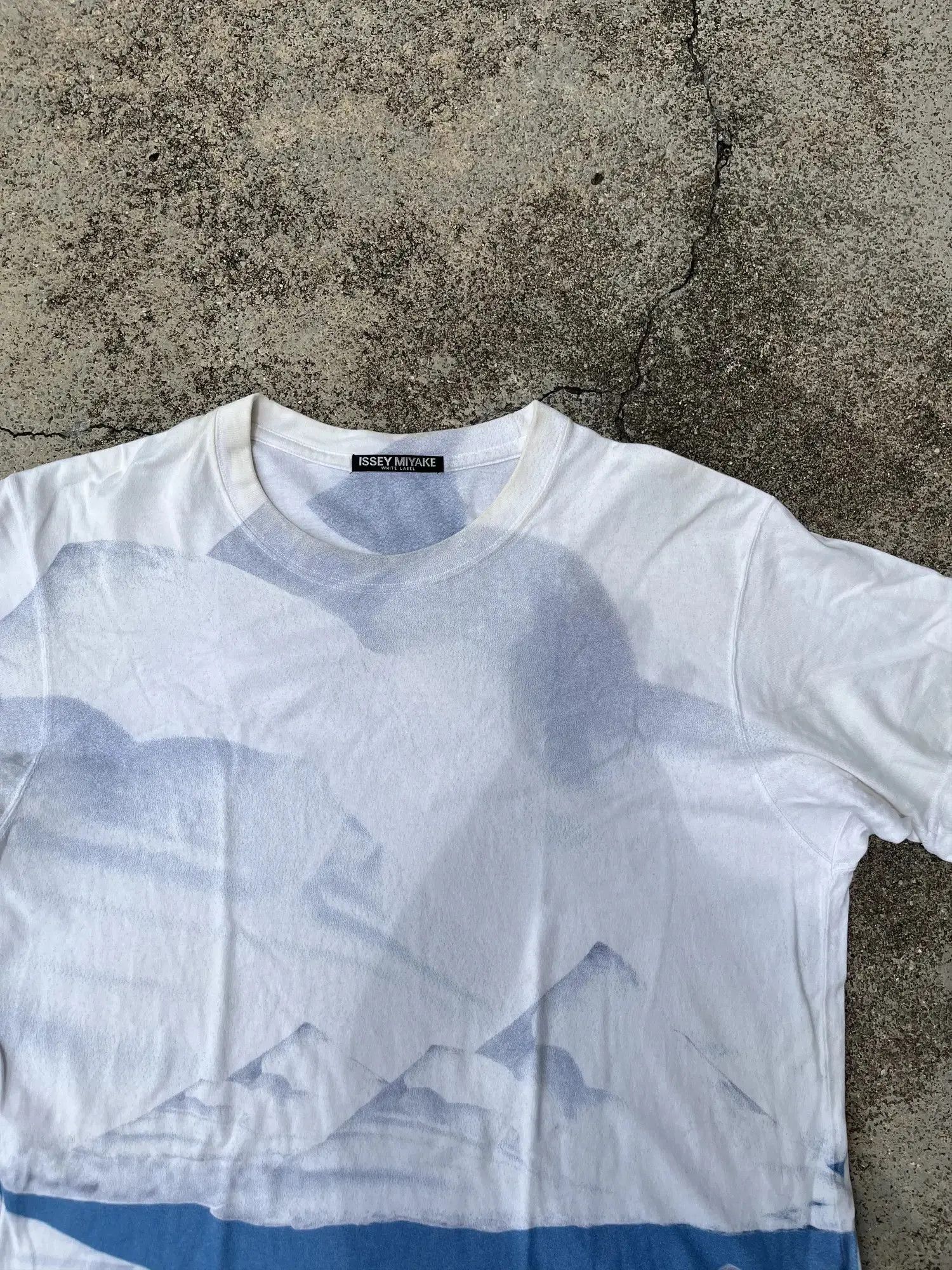 Miyake Issey Miyake Over Printed Tee Hoodie, Sweatshirt | PodTeesHub.com
