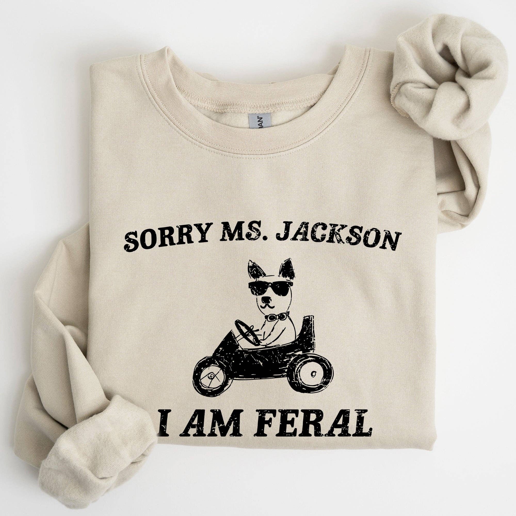 Sorry Ms, Raccoon, Meme, Aesthetic, Funny Sweatshirt T-Shirts, Hoodie | PodTeesHub.com
