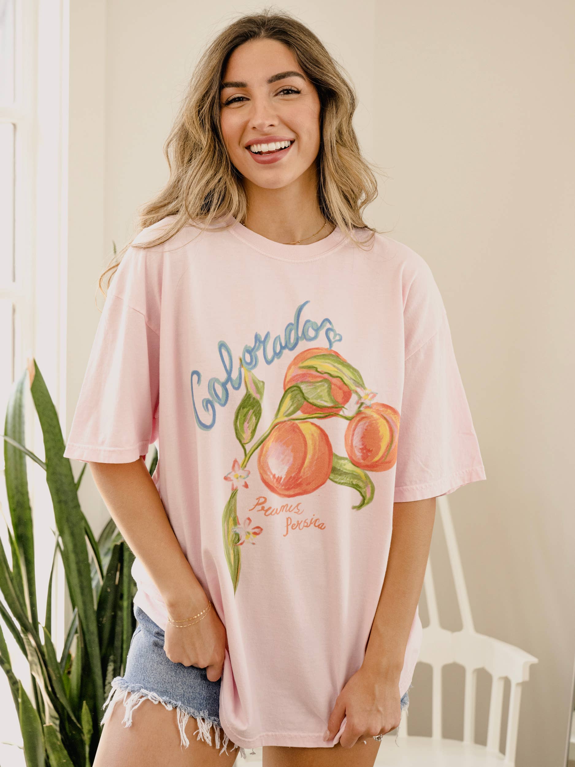 Colorado Fruit Blossom Comfort Colors Tee Hoodie, Sweatshirt | PodTeesHub.com