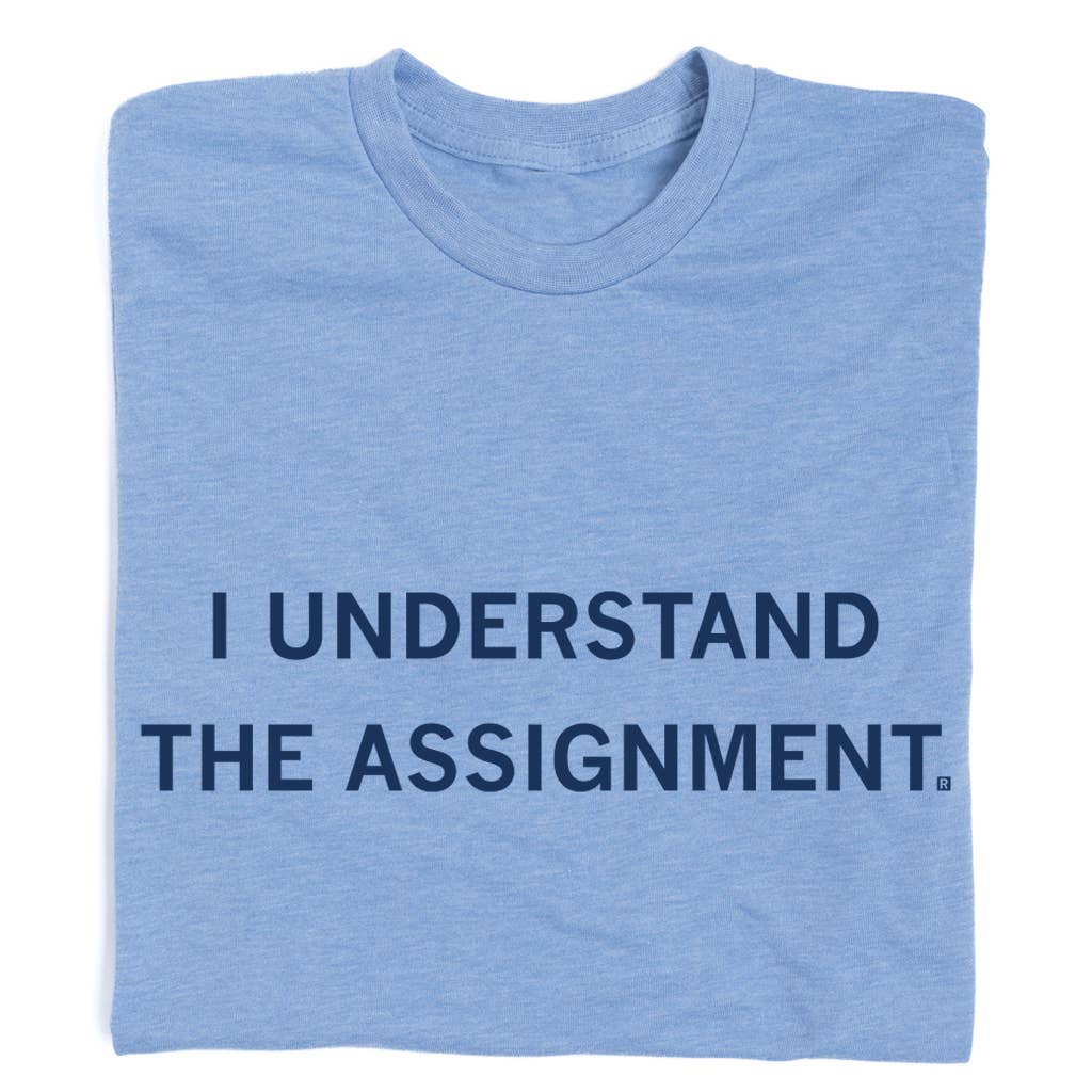 I Understand the Assignment T-Shirt Hoodie, Sweatshirt | PodTeesHub.com
