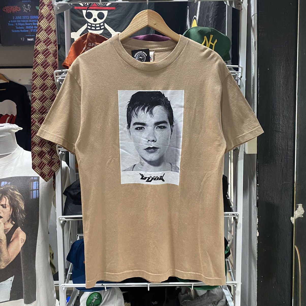Rap Tees Vtg Bjork Y2k Tees Titanic Aphex Twin Vintagenirvana Tupac Hoodie, Sweatshirt | PodTeesHub.com