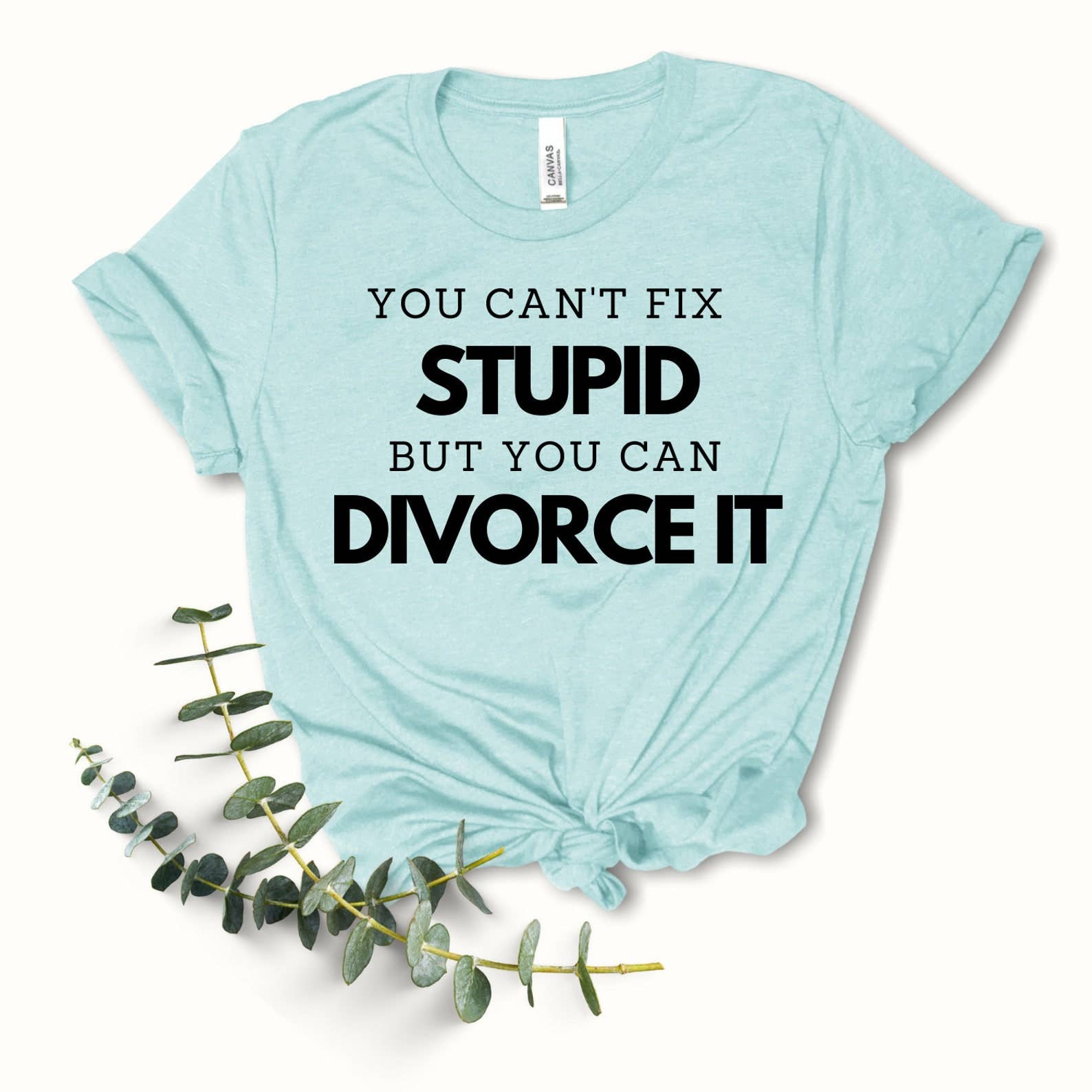 You Can't Fix Stupid T-Shirt Hoodie, Sweatshirt | PodTeesHub.com