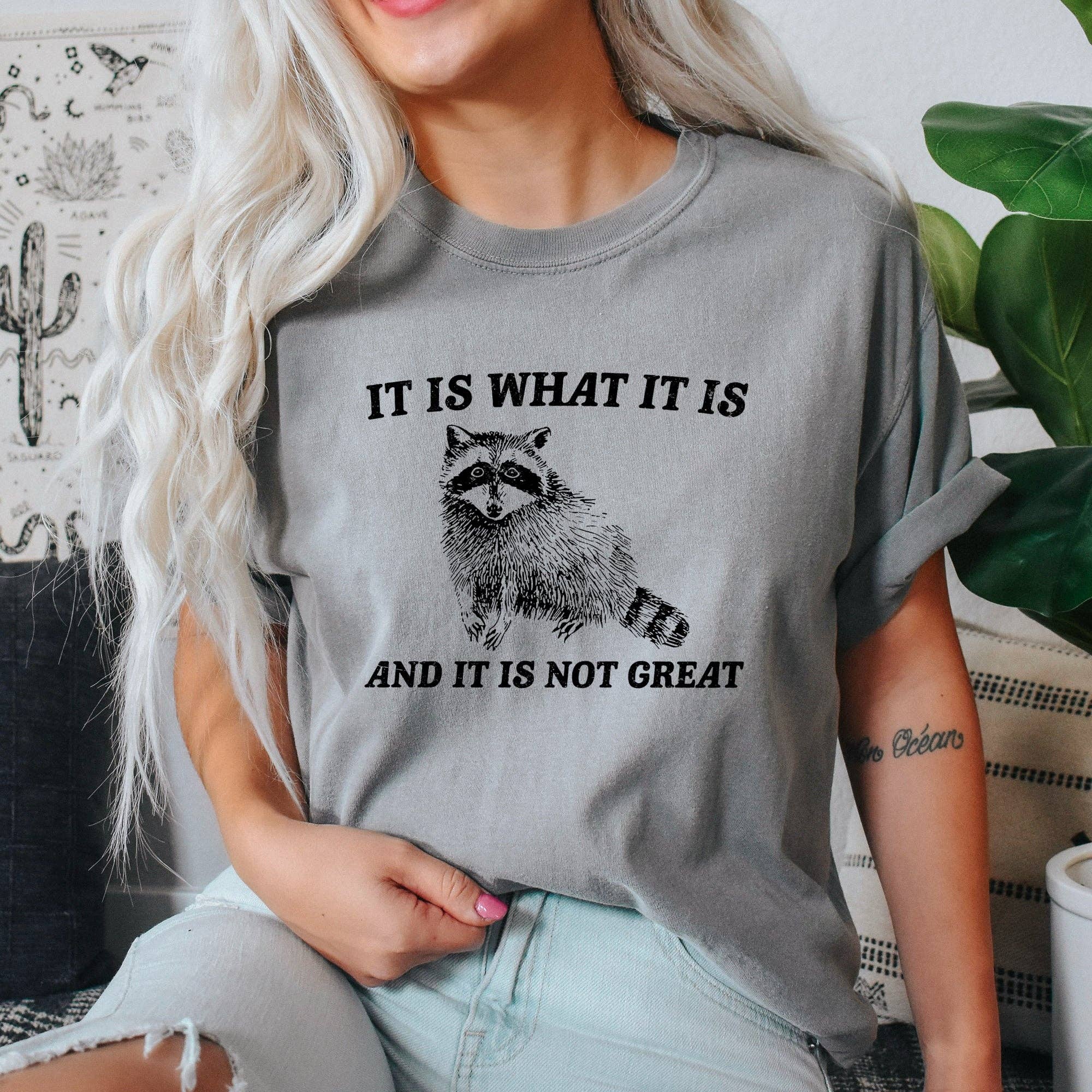 It Is What It Is and It Is Not Great, Raccoon, Meme, Aesthetic, Funny, Comfort Colors Tshirt Hoodie, Sweatshirt
