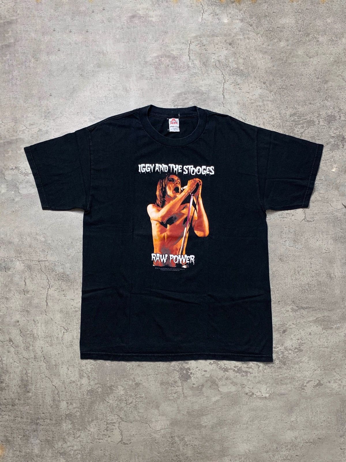 Band Tees Y2k Iggy And The Stooges Punk Band Tee Sex Pistols Blink 182 Hoodie, Sweatshirt | PodTeesHub.com