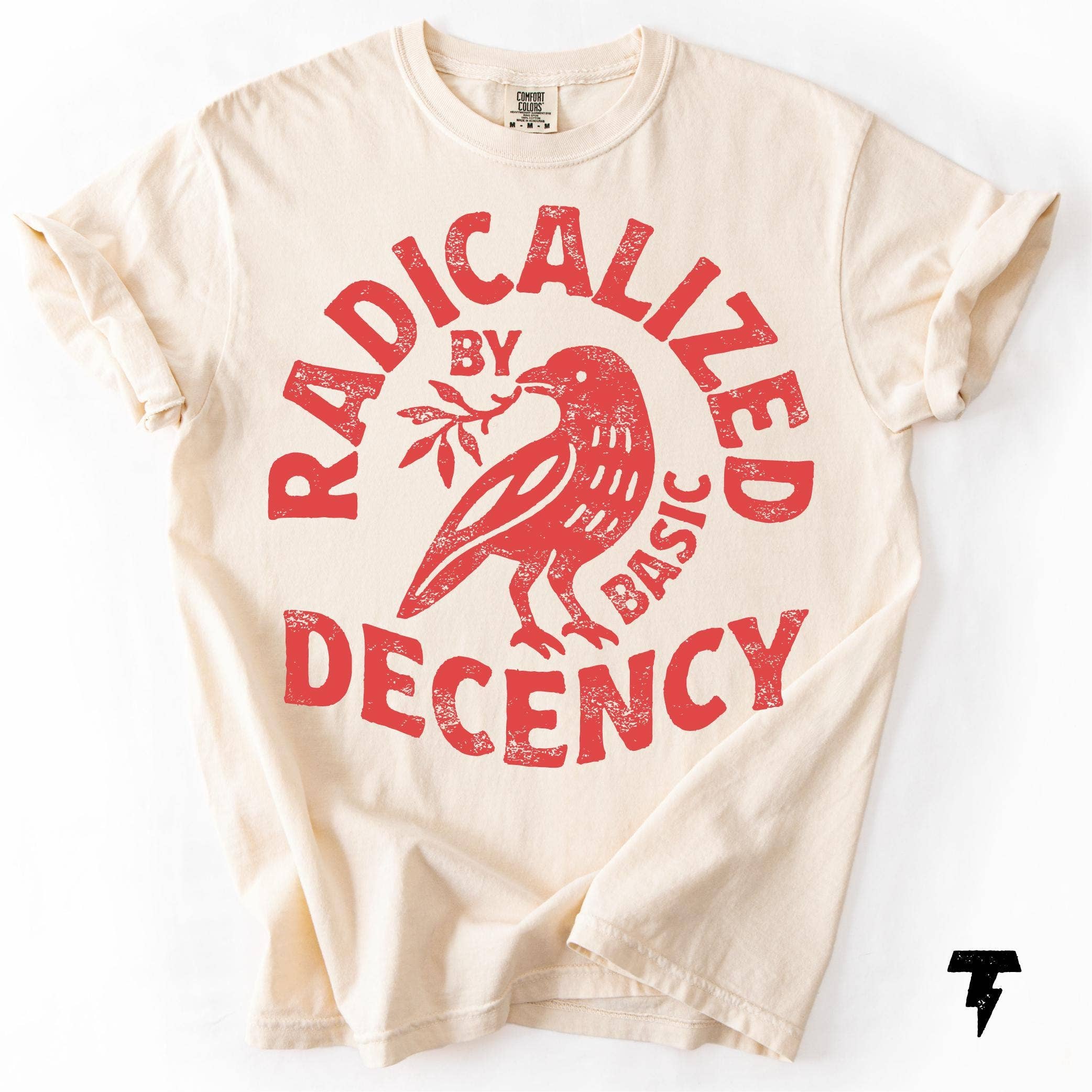 Radicalized By Basic Decency Political Protest Tee Hoodie, Sweatshirt | PodTeesHub.com