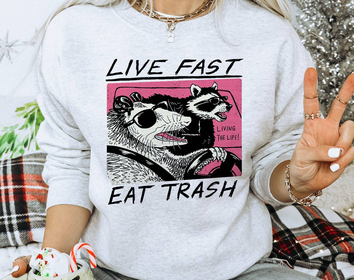 Live Fast Eat Trash - Raccoon Music Meme Sweatshirt T-Shirts, Hoodie | PodTeesHub.com