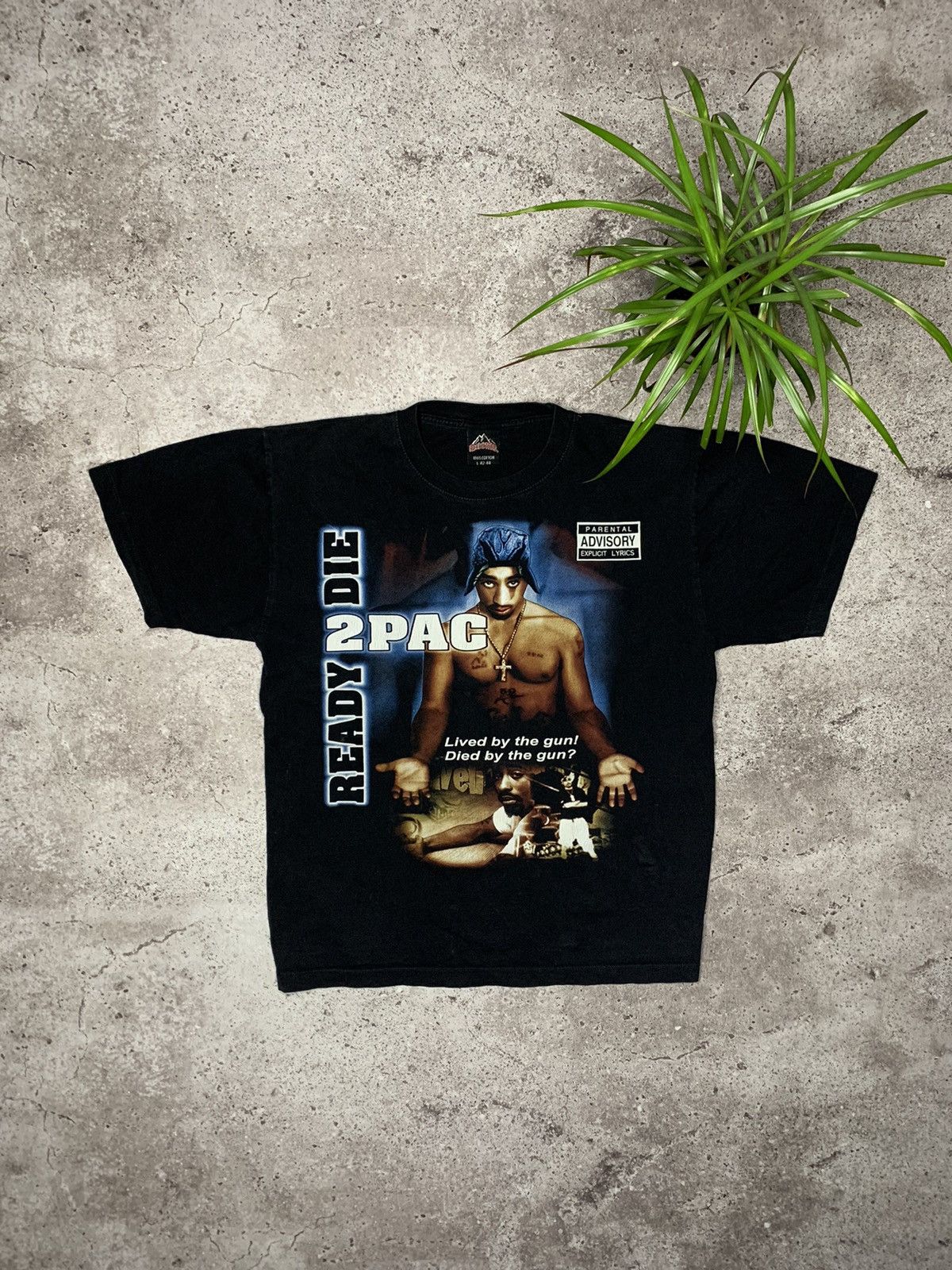 Vintage 2pac Tupac Shakur Rap T Shirt Y2k Hoodie, Sweatshirt | PodTeesHub.com