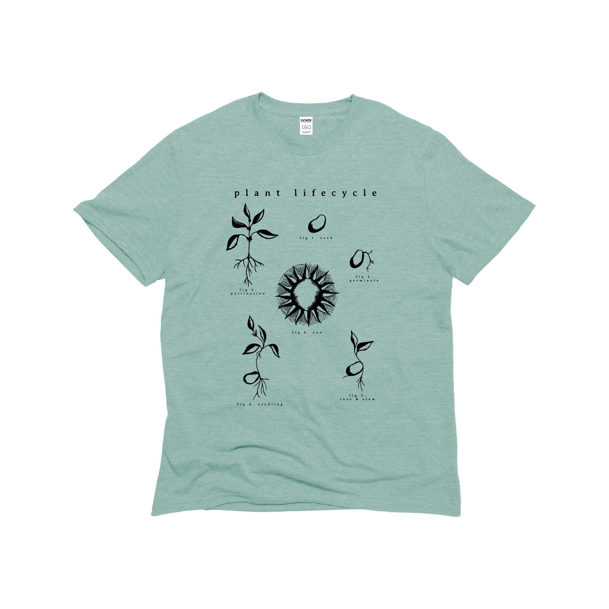 Plant Life Cycle Graphic Tee - Sage - 12pk Hoodie, Sweatshirt | PodTeesHub.com