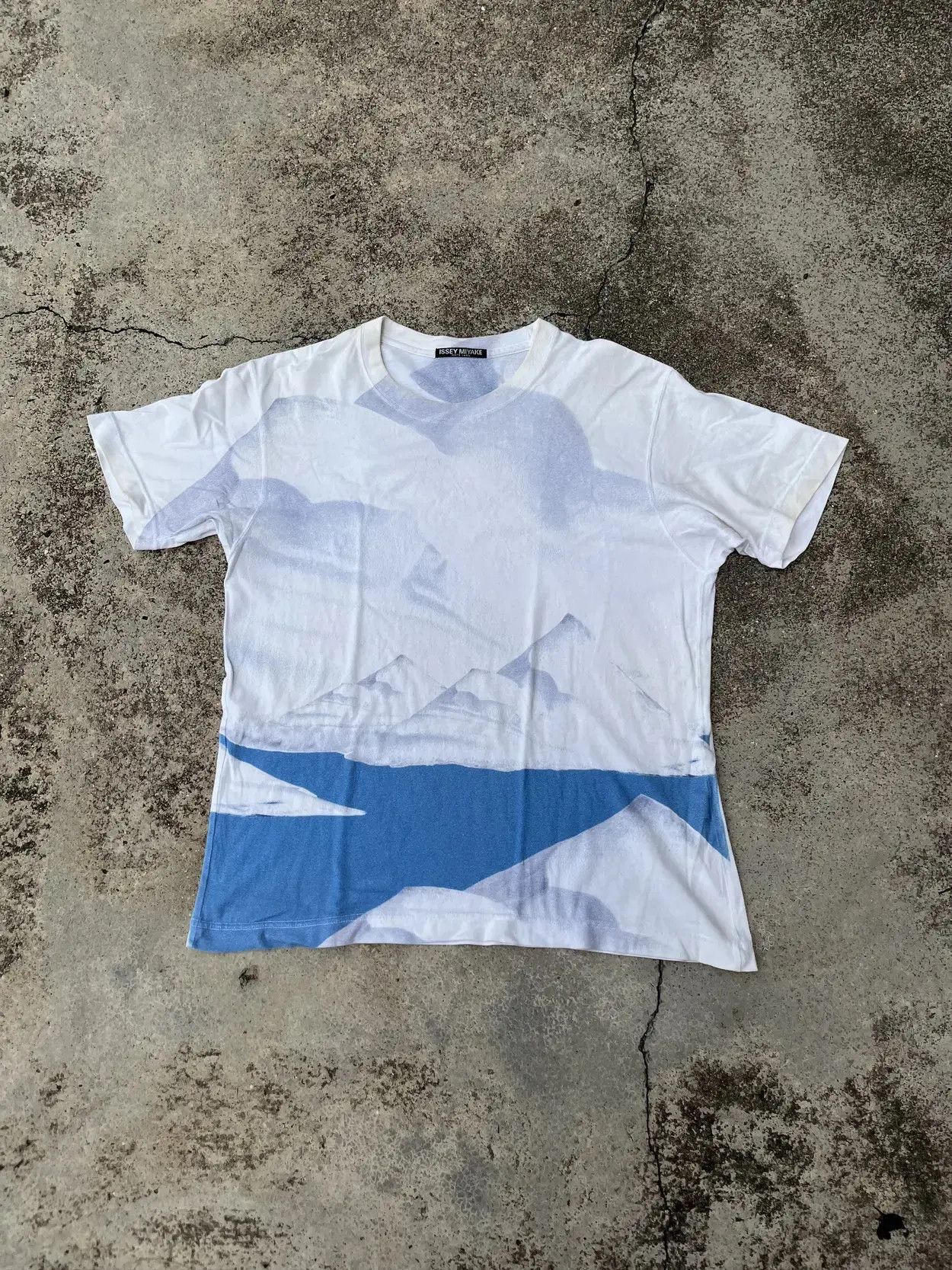 Miyake Issey Miyake 90s Aop T-Shirts, Hoodie, Sweatshirt