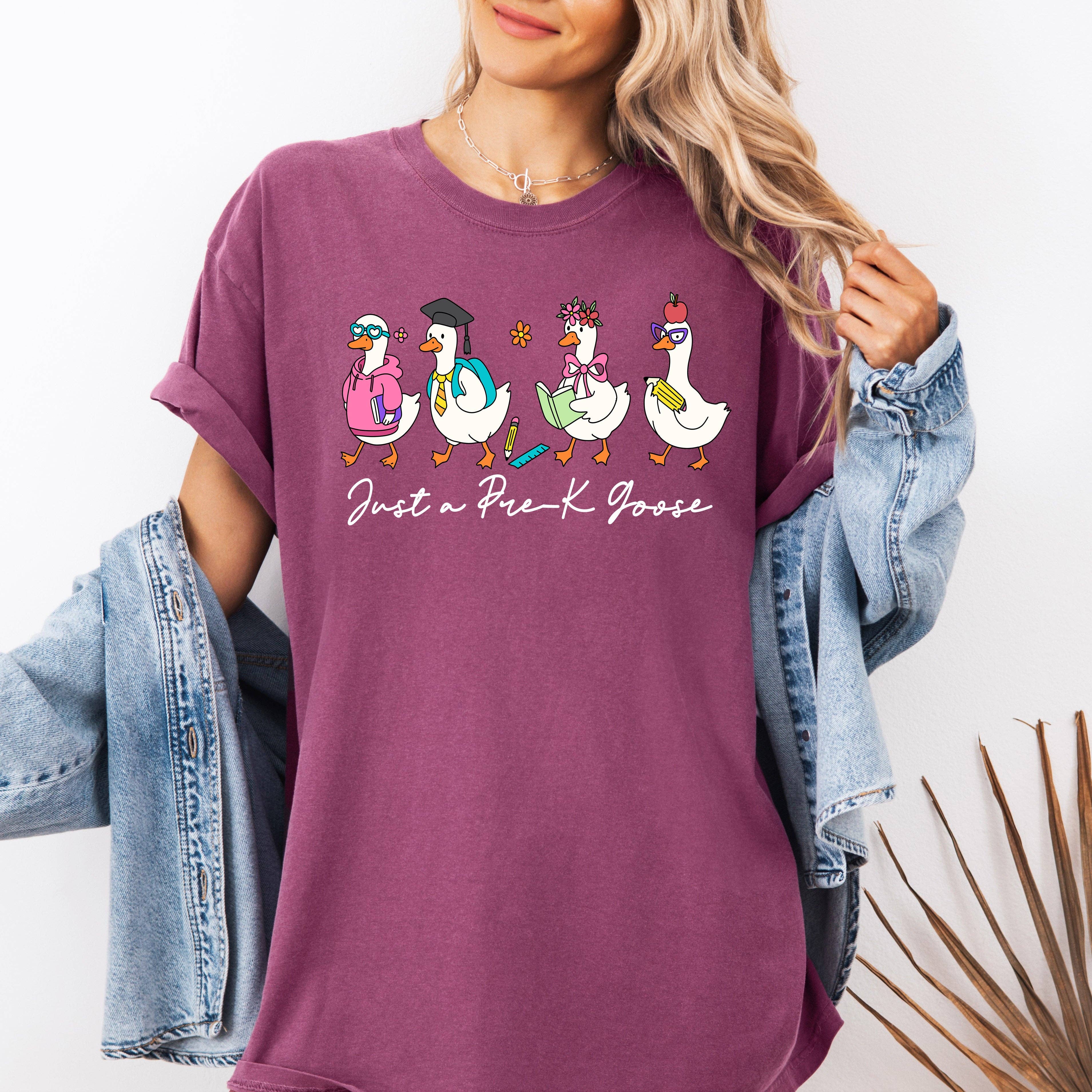 Just A Pre-K Goose Teacher Back To School Funny Cute T-Shirt Hoodie, Sweatshirt | PodTeesHub.com