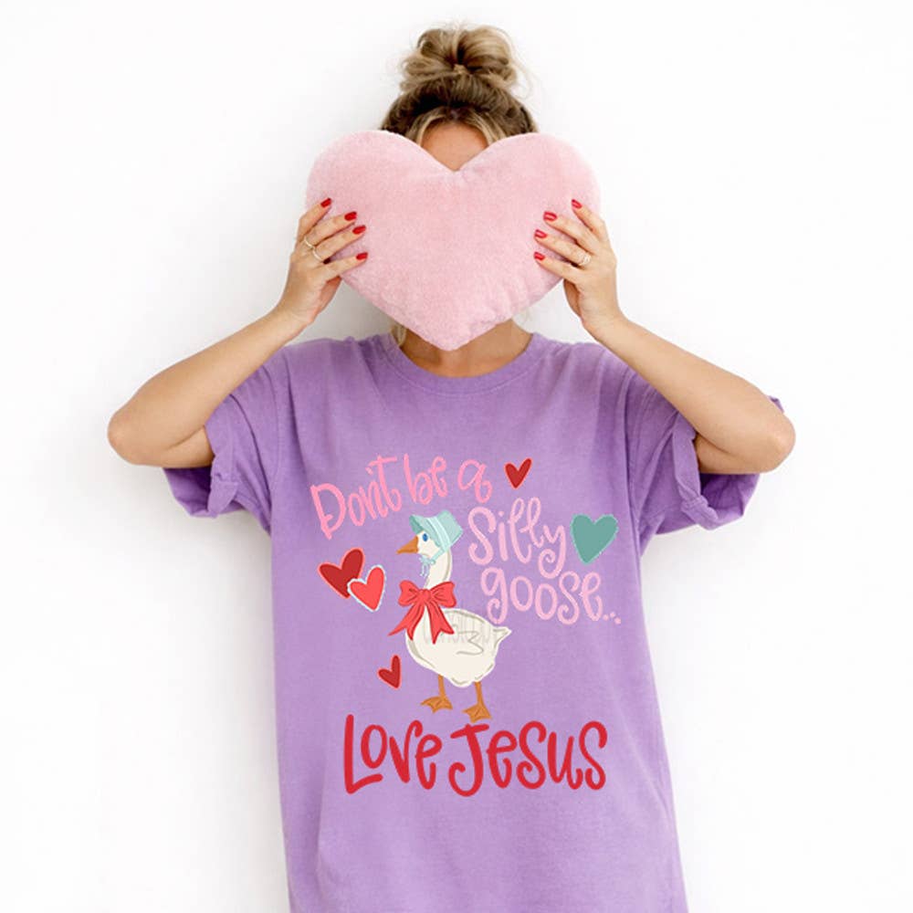 Don't Be A Silly Goose Love Jesus Tee Hoodie, Sweatshirt | PodTeesHub.com