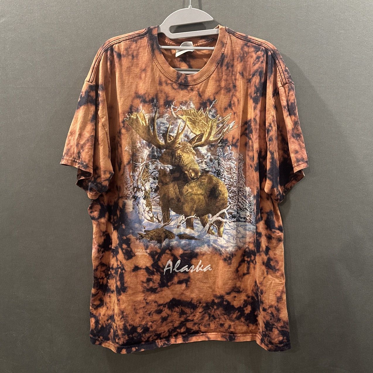 Hanes Alaska Wilderness Graphic Tee Hoodie, Sweatshirt | PodTeesHub.com