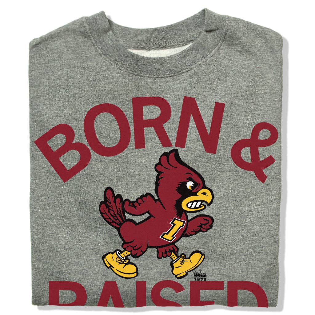 Cyclones Born & Raised Vintage Grey Crew Sweatshirt T-Shirts, Hoodie | PodTeesHub.com