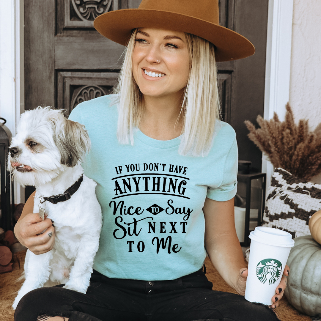 If You Don't Have Anything Nice To Say Sit Next To Me Tee Hoodie, Sweatshirt | PodTeesHub.com