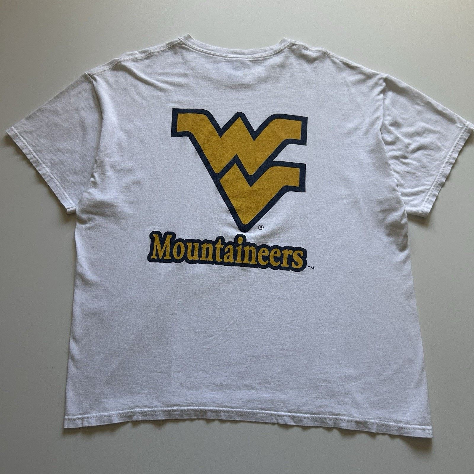 Vintage West Virginia Wvu Mountaineers T Shirt Xl Y2k Ncaa Hoodie, Sweatshirt | PodTeesHub.com