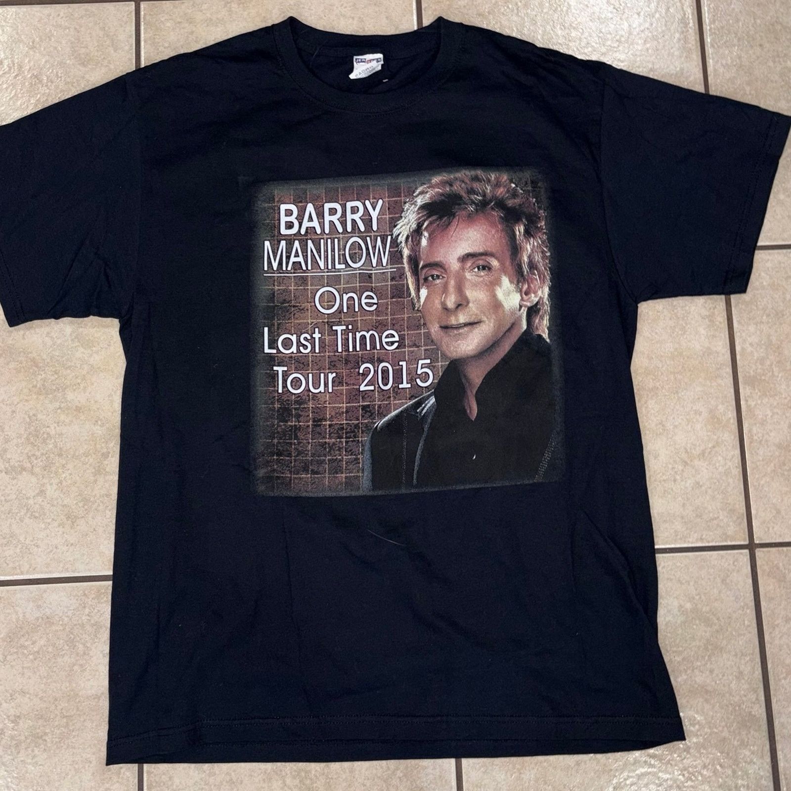 Gildan Barry Manilow One Last Time Tour Shirt 2015 Size Large Hoodie, Sweatshirt | PodTeesHub.com