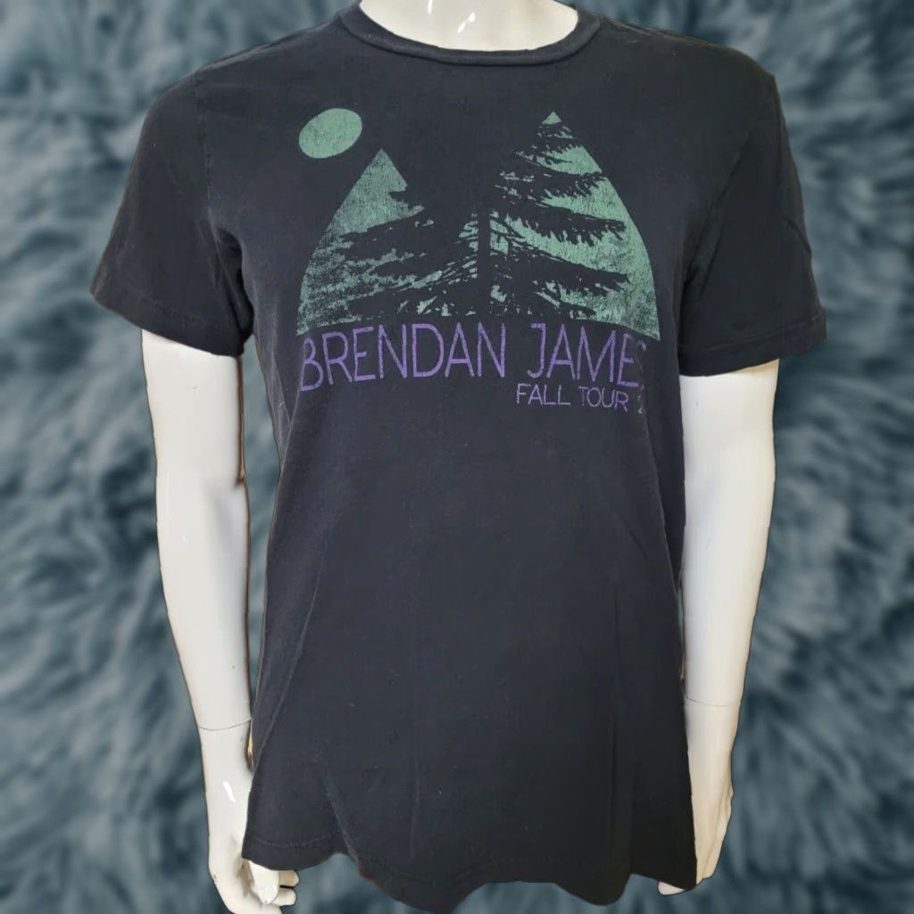 Vintage Brendan James Fall Tour 2014 Concert Large Nh Black 100 Cotton Band Mus T-Shirts, Hoodie, Sweatshirt