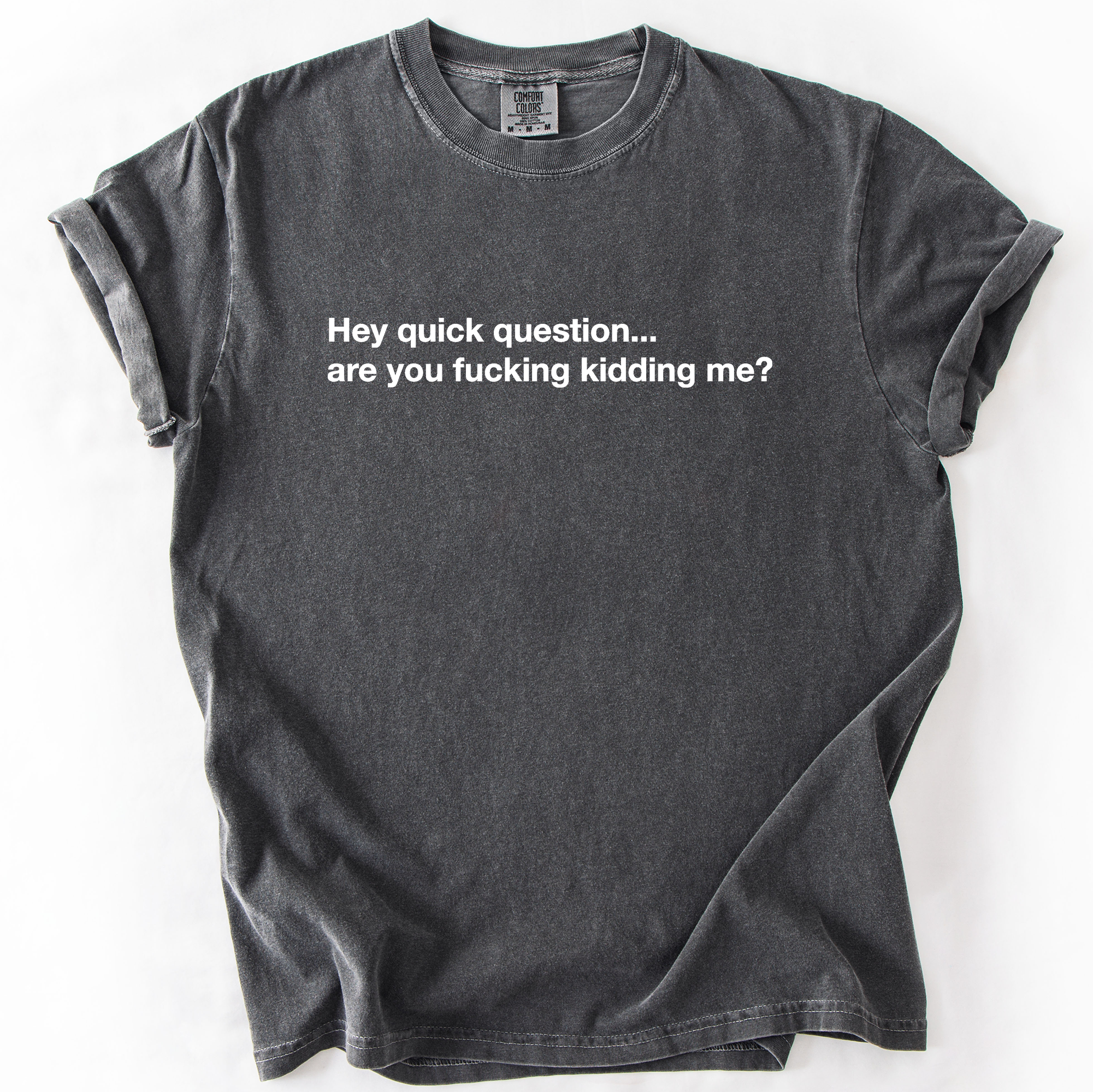 Hey Quick Question, Are You Kidding Me, Sarcastic T-Shirt Hoodie, Sweatshirt | PodTeesHub.com