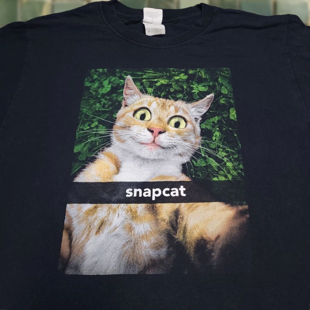 Fruit Of The Loom Fruit Of The Loom T Shirt Men S Black Cat Snapchat Funny Graphic Tee 2010s Ginger Hoodie, Sweatshirt