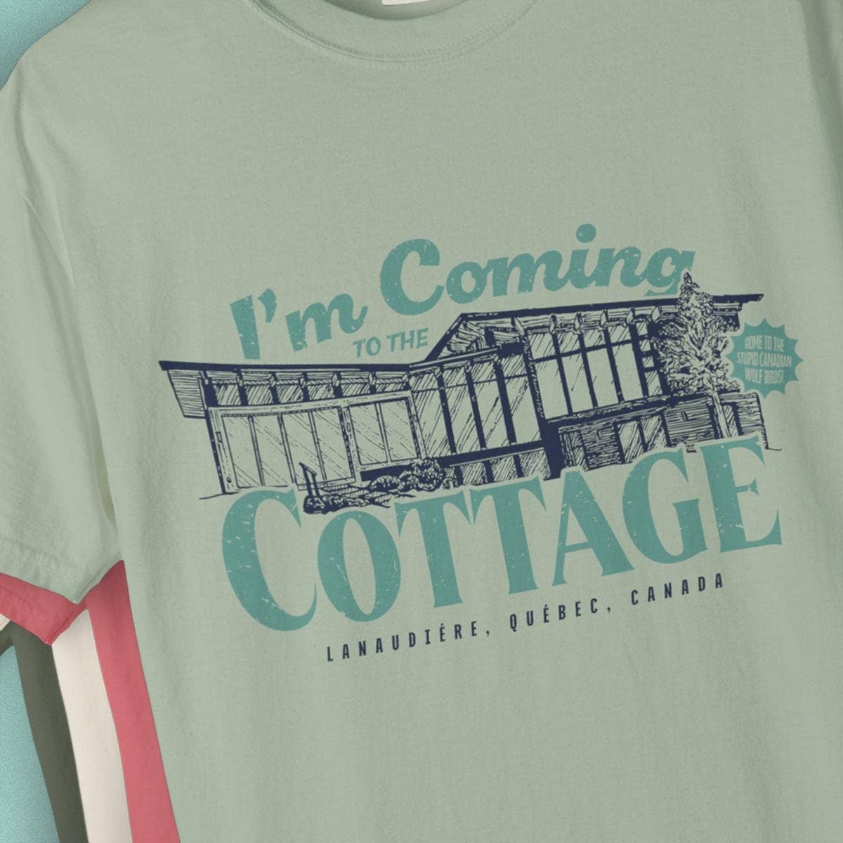Heated Rivalry Vintage Travel T-Shirt Hoodie, Sweatshirt | PodTeesHub.com