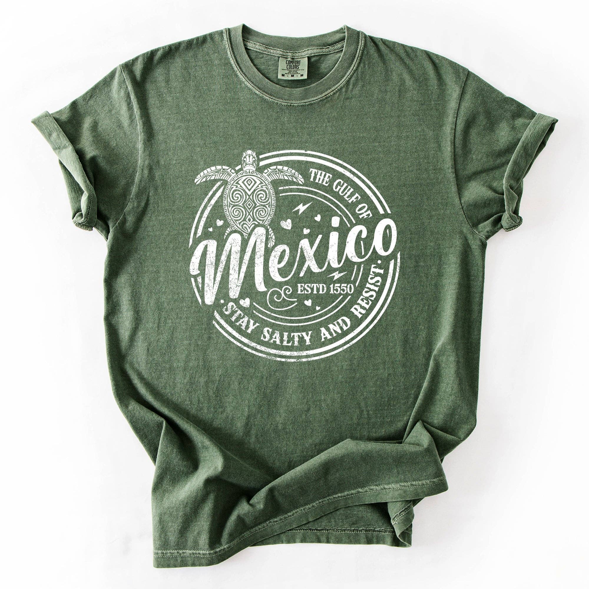 Gulf of Mexico, Stay Salty, Turtle, Retro, Vintage Tshirt Hoodie, Sweatshirt | PodTeesHub.com