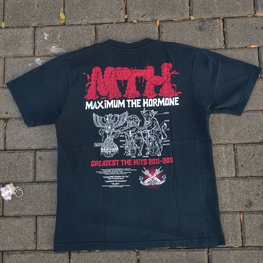 Band Tees Maximum The Hormone Greatest Hits 2011 Metal Tee Hoodie, Sweatshirt | PodTeesHub.com