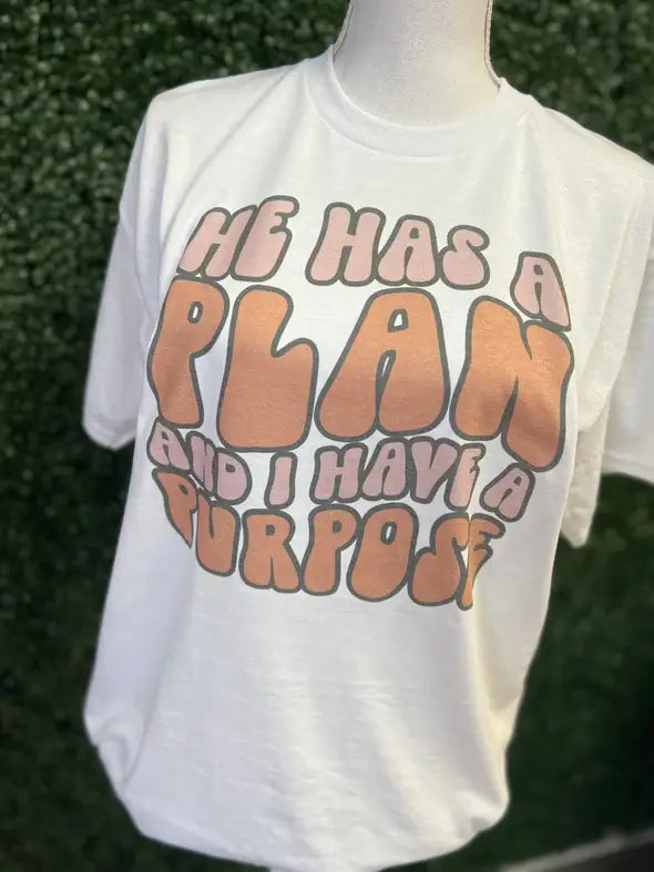 He Has A Plan & I Have A Purpose On Sand Tee Hoodie, Sweatshirt | PodTeesHub.com