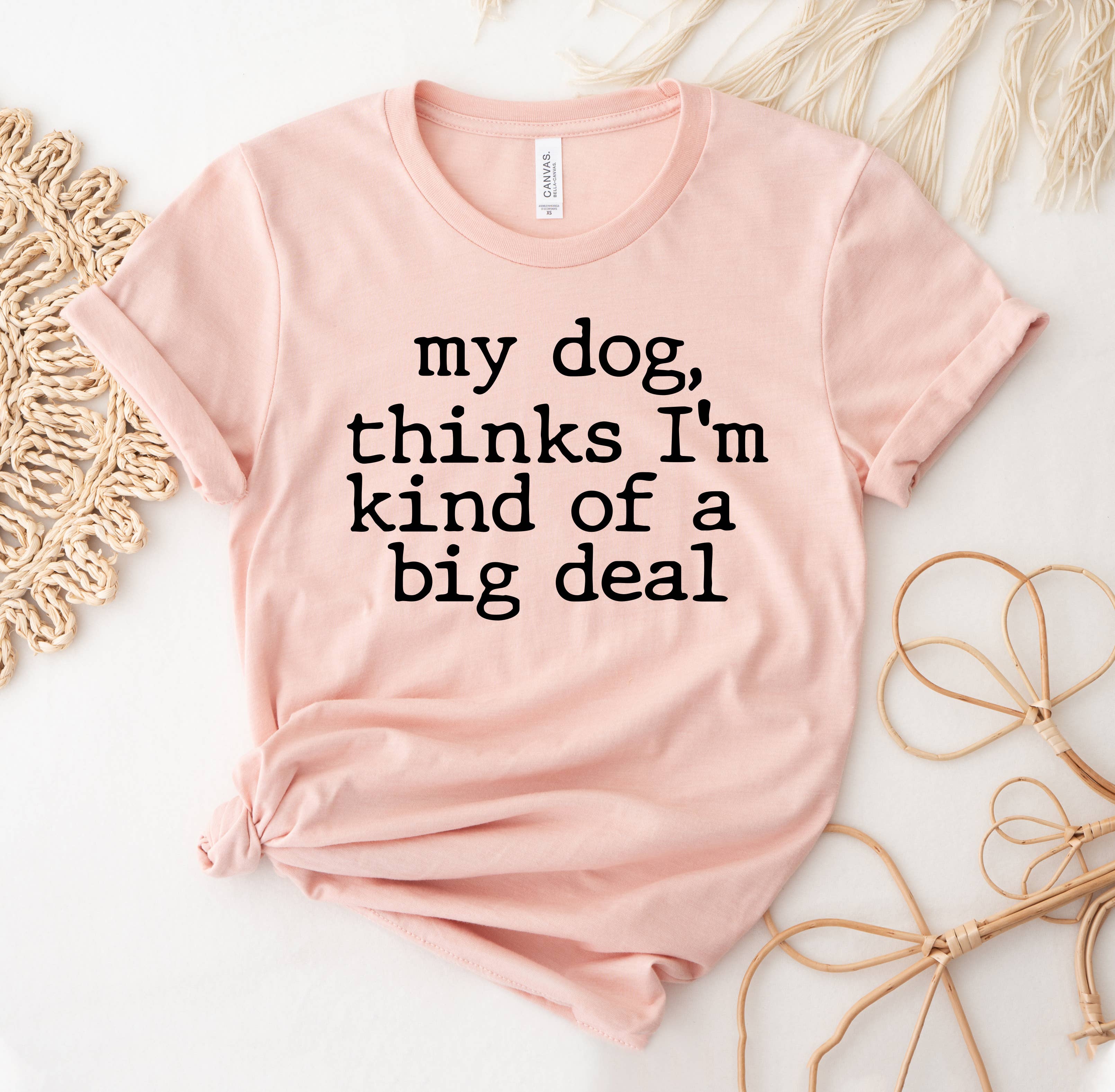 My Dog Thinks I'm Kind of A Big Deal T-Shirt Hoodie, Sweatshirt | PodTeesHub.com