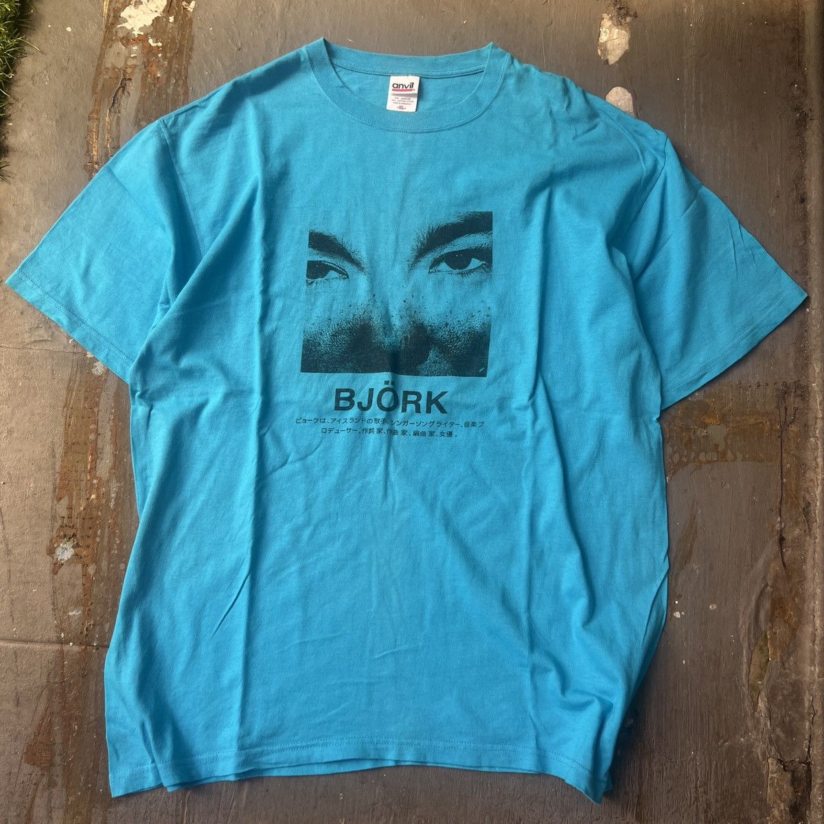 Band Bjork Vintage Band 90 S Promo Japan Shirt T-Shirts, Hoodie, Sweatshirt