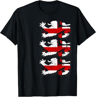 3 Lions Flag T-Shirt