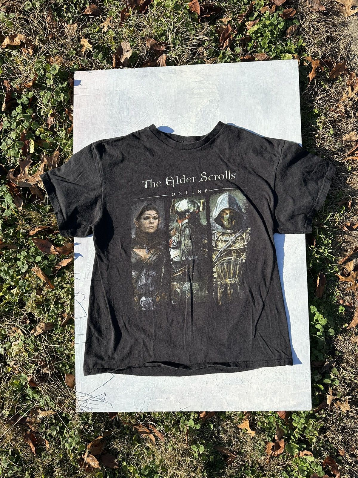 Other Crazy Bethesda Elder Scrolls Video Game Promo Shirt 2014 Hoodie, Sweatshirt | PodTeesHub.com