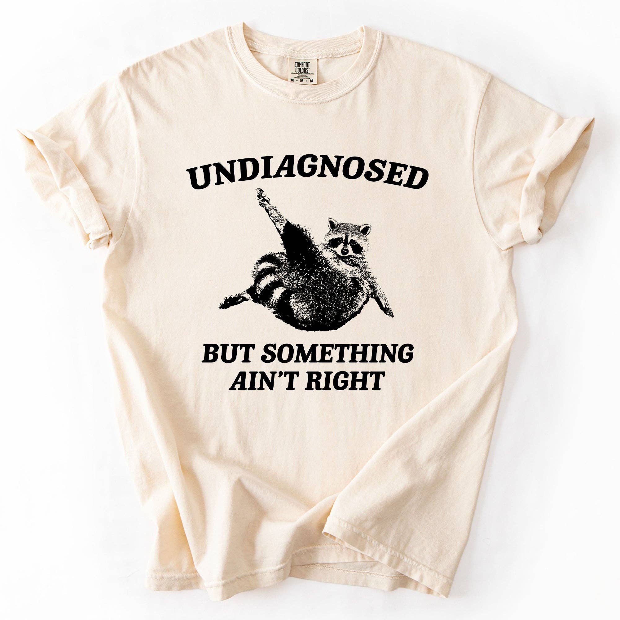Undiagnosed, But Something Ain't Right, Raccoon Tshirt Hoodie, Sweatshirt | PodTeesHub.com