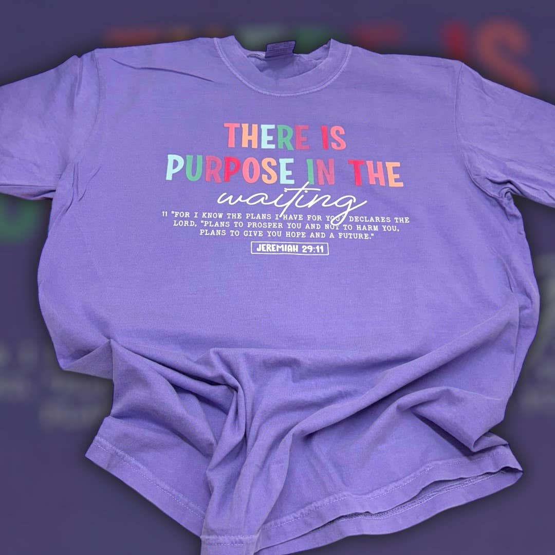 Purpose in the Waiting Comfort Color T-Shirt Hoodie, Sweatshirt | PodTeesHub.com