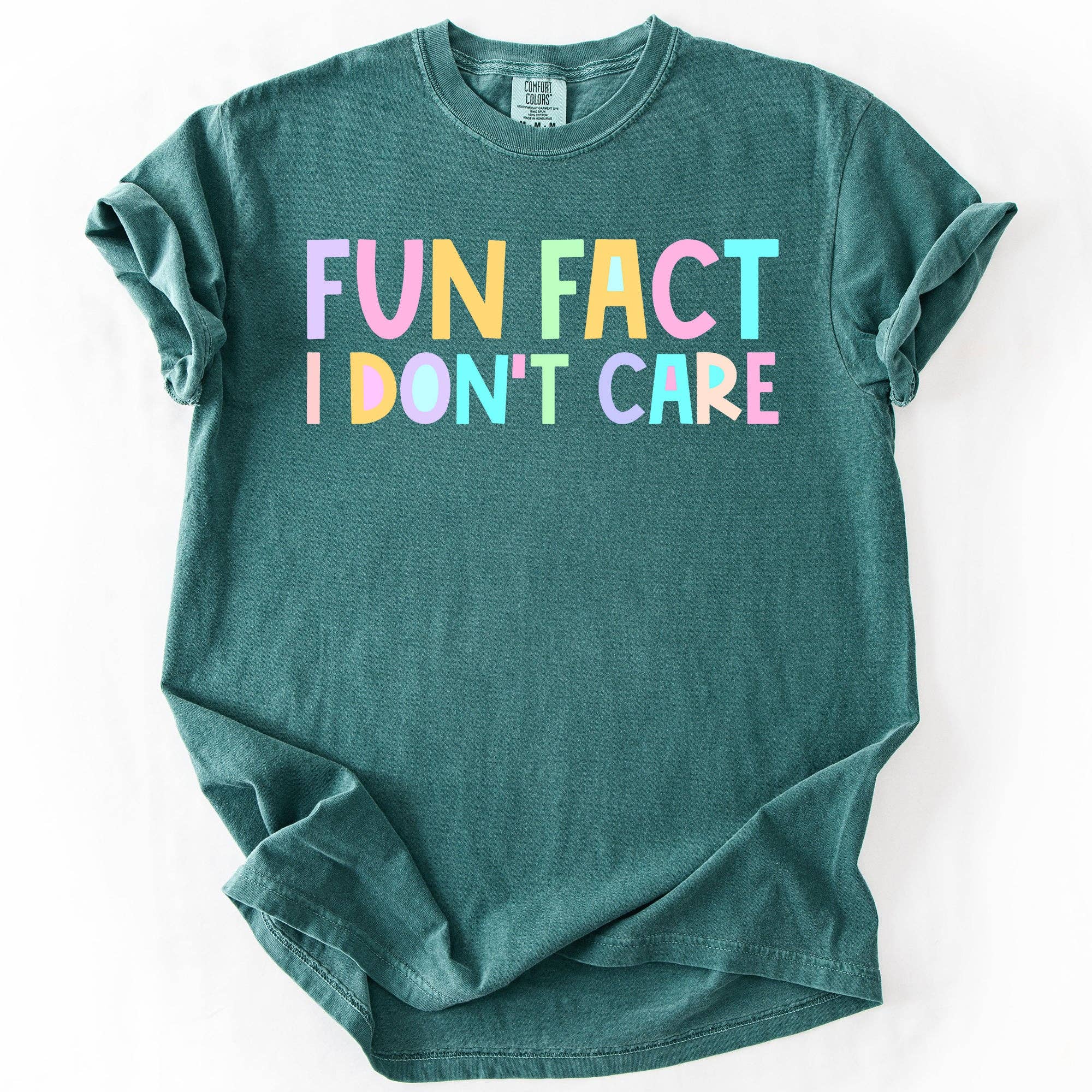 Fun Fact I Don't Care, Colorful Pastel, Funny, Sassy T-Shirt Hoodie, Sweatshirt | PodTeesHub.com