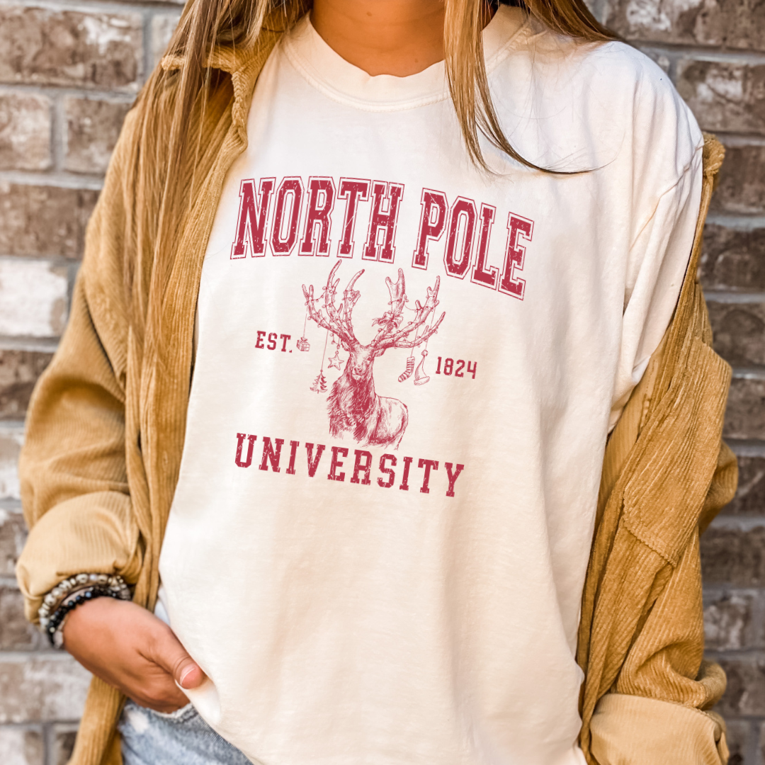 North Pole Christmas Tee - Graphic Tee - Reindeer Tee Hoodie, Sweatshirt | PodTeesHub.com