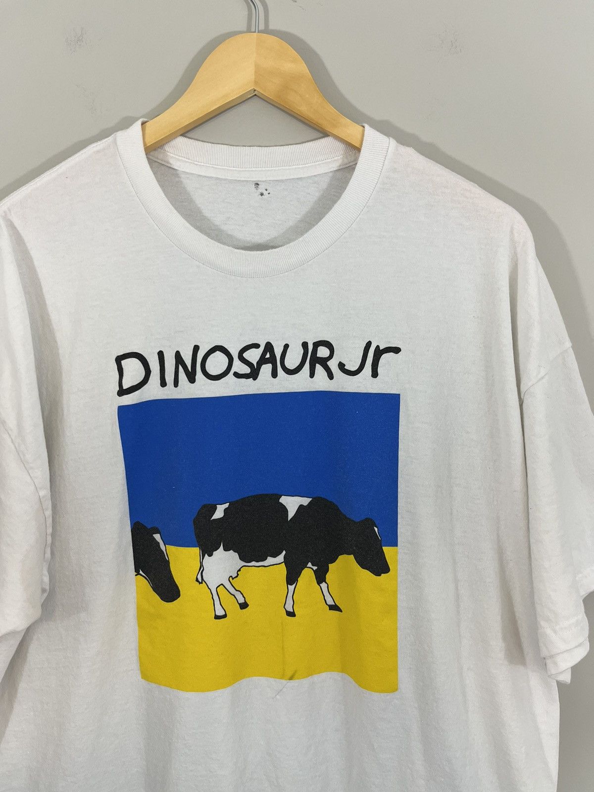 Band Tees Dinosaur Jr Thrashed Distressed Oversized Band Tee Hoodie, Sweatshirt | PodTeesHub.com