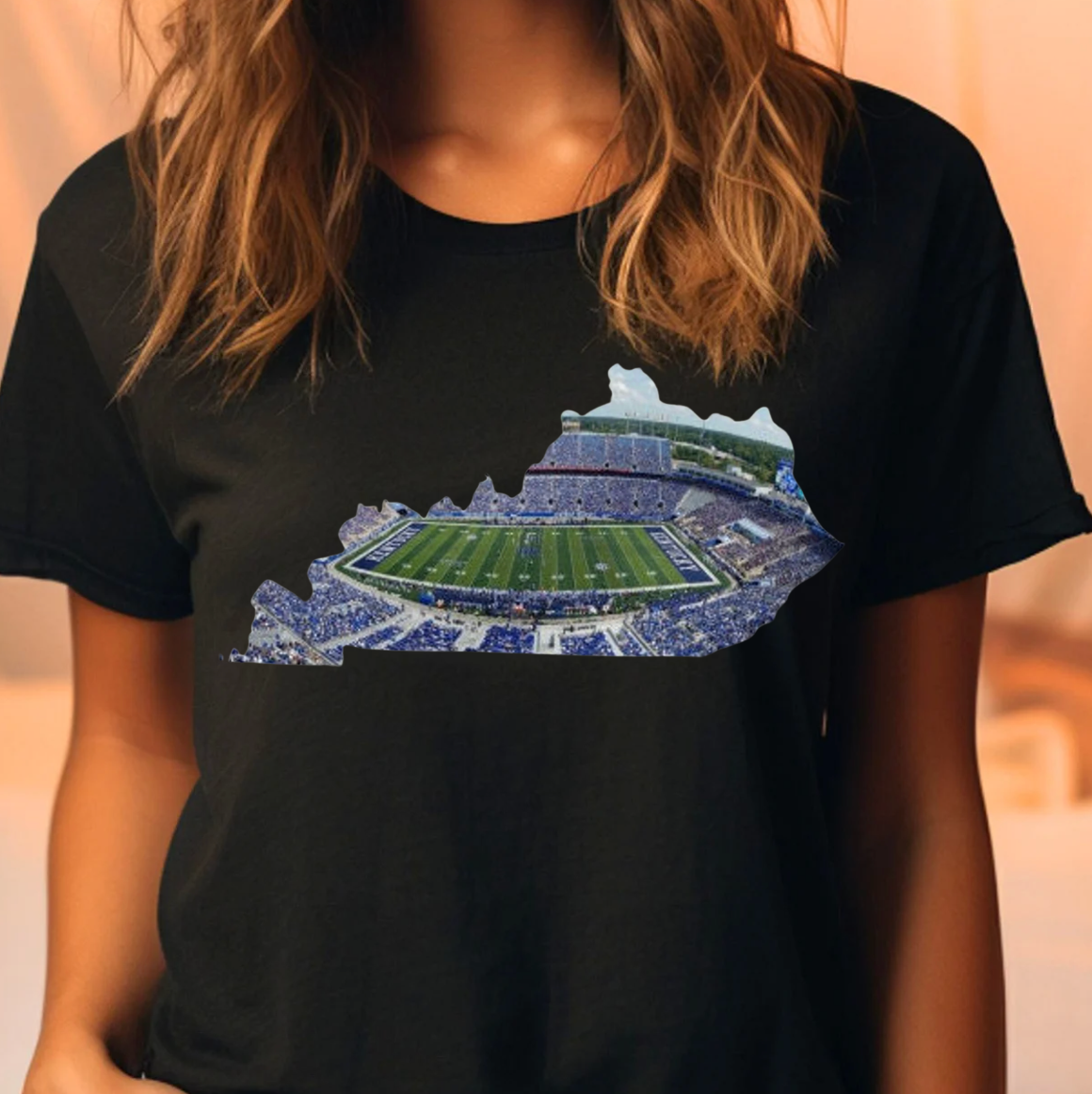 Uk Kentucky Stadium Tee or Sweatshirt Hoodie | PodTeesHub.com