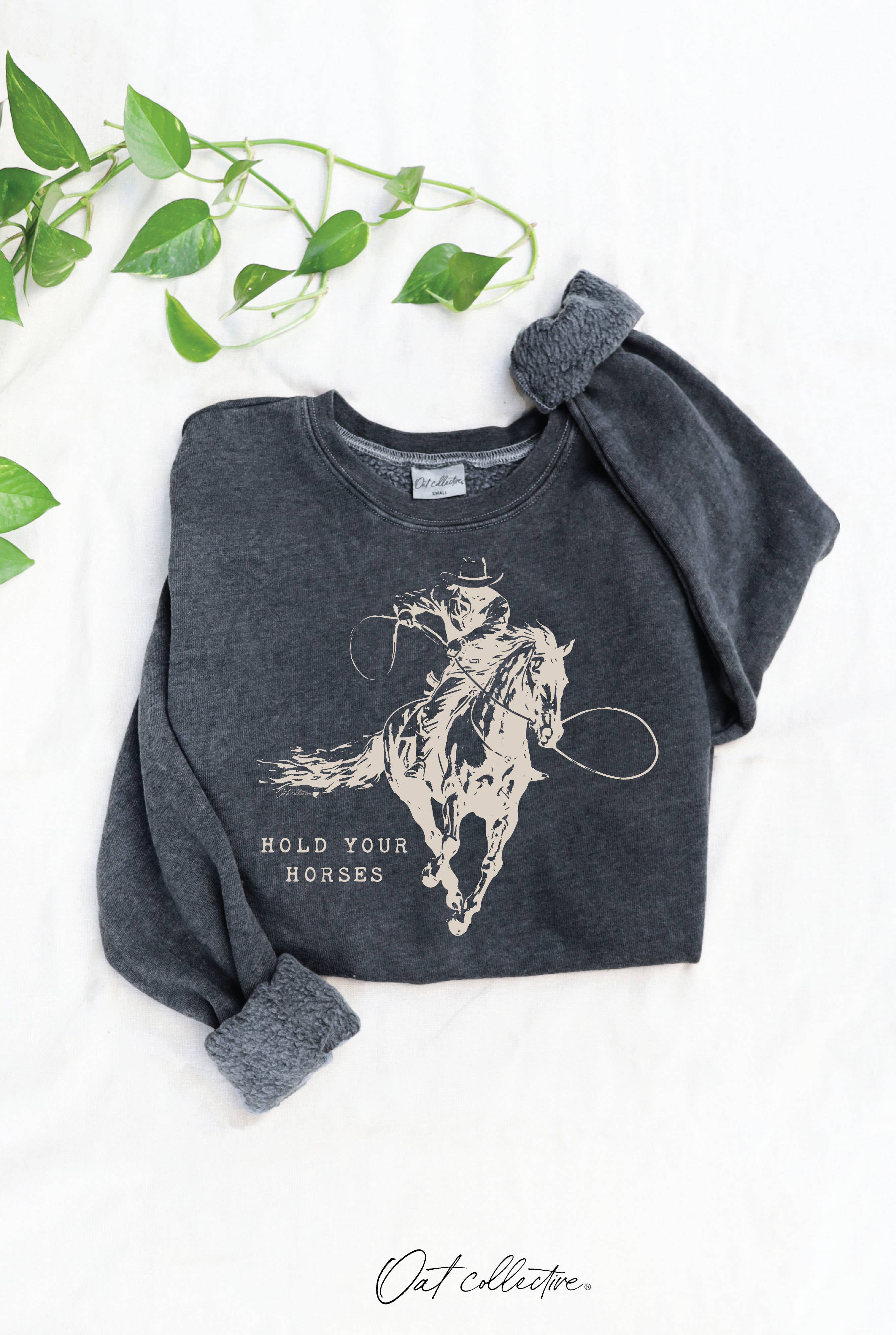 Hold Your Horses Mineral Graphic Sweatshirt T-Shirts, Hoodie | PodTeesHub.com