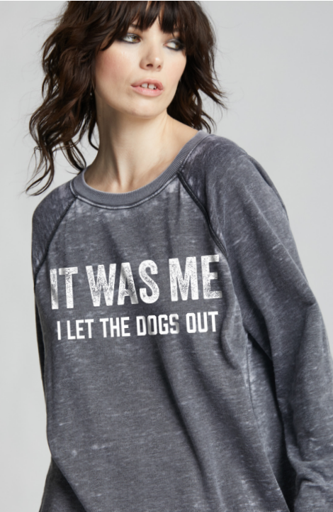 303149 - I Let the Dogs Out Oversized Statement Sweatshirt T-Shirts, Hoodie | PodTeesHub.com