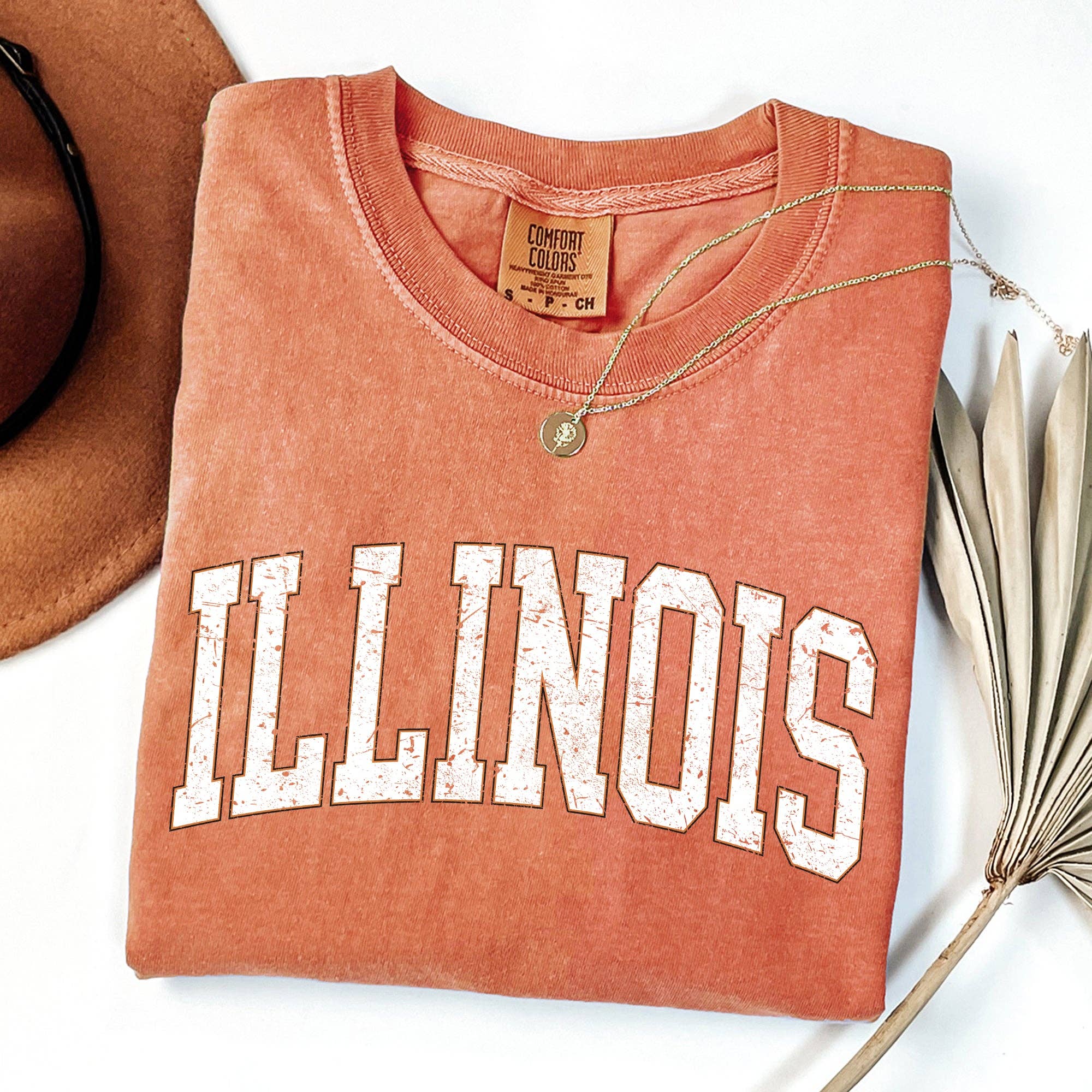 Illinois, Football, Game Day, Tailgate Party State Tshirt Hoodie, Sweatshirt | PodTeesHub.com