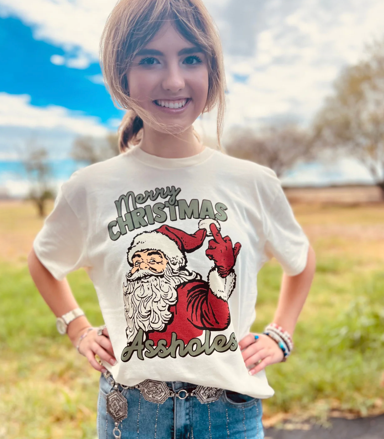 Merry Christmas Assholes Graphic Tee- Multiple Color Options Hoodie, Sweatshirt | PodTeesHub.com