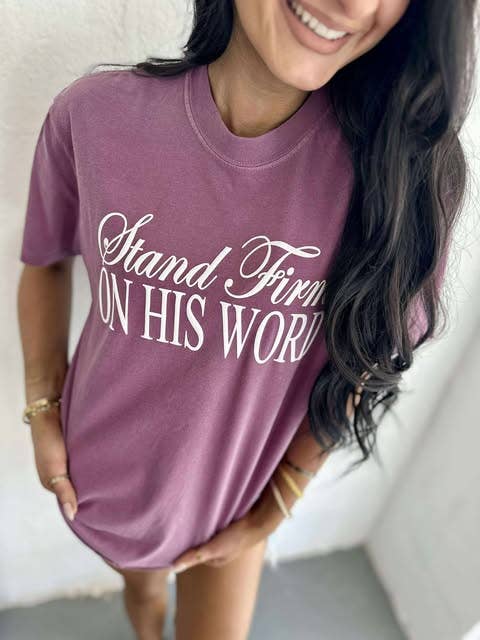 Stand Firm On His Word Puff Tee Hoodie, Sweatshirt | PodTeesHub.com
