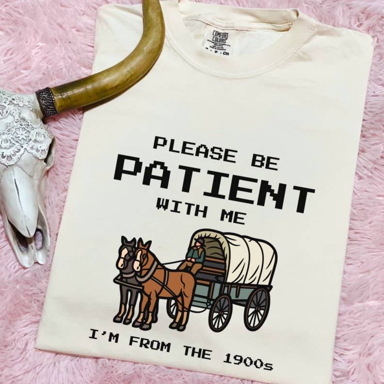 Please Be Patient with Me Comfort Color Graphic Tee Hoodie, Sweatshirt | PodTeesHub.com