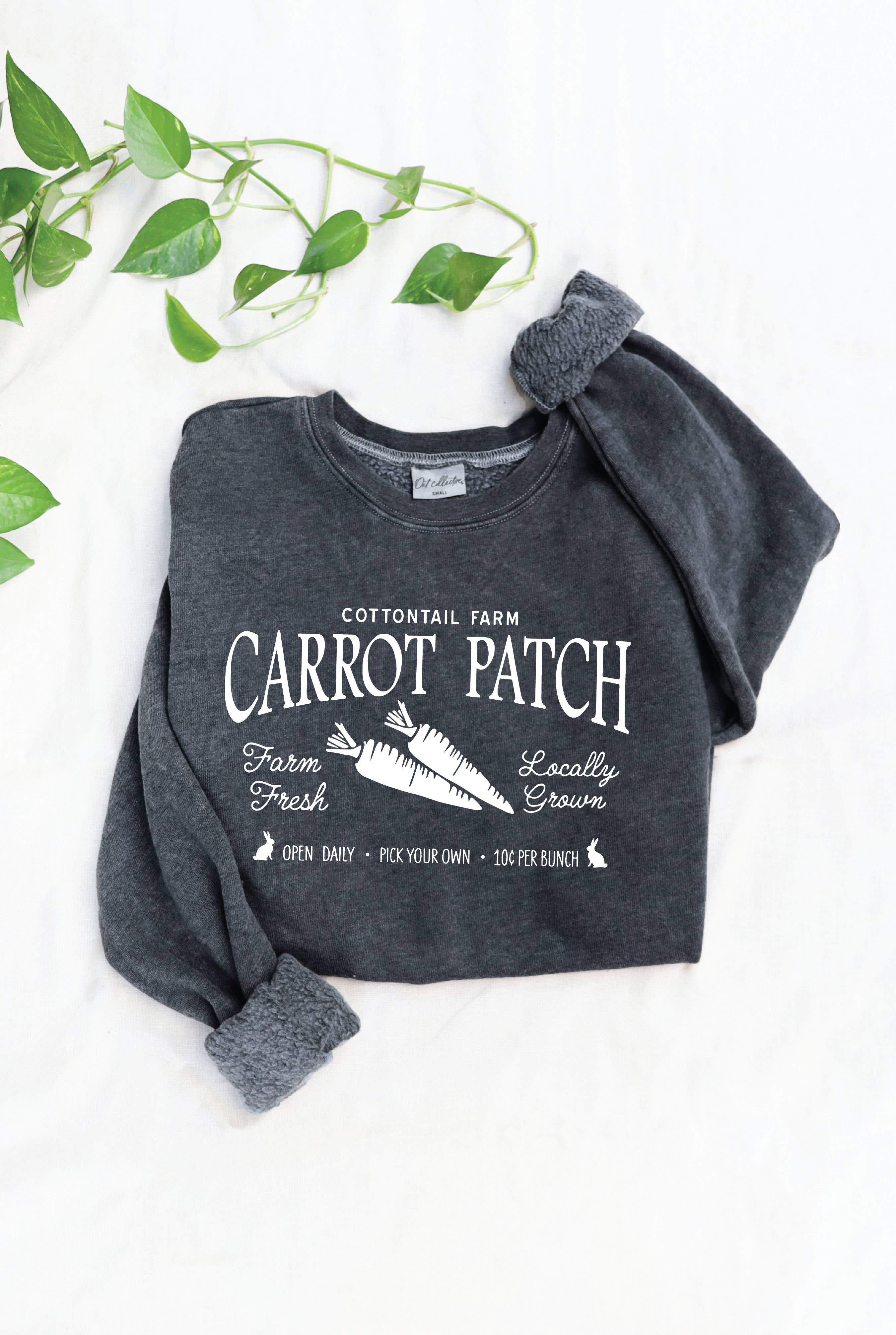 Cottontail Farm Carrot Mineral Graphic Sweatshirt T-Shirts, Hoodie | PodTeesHub.com