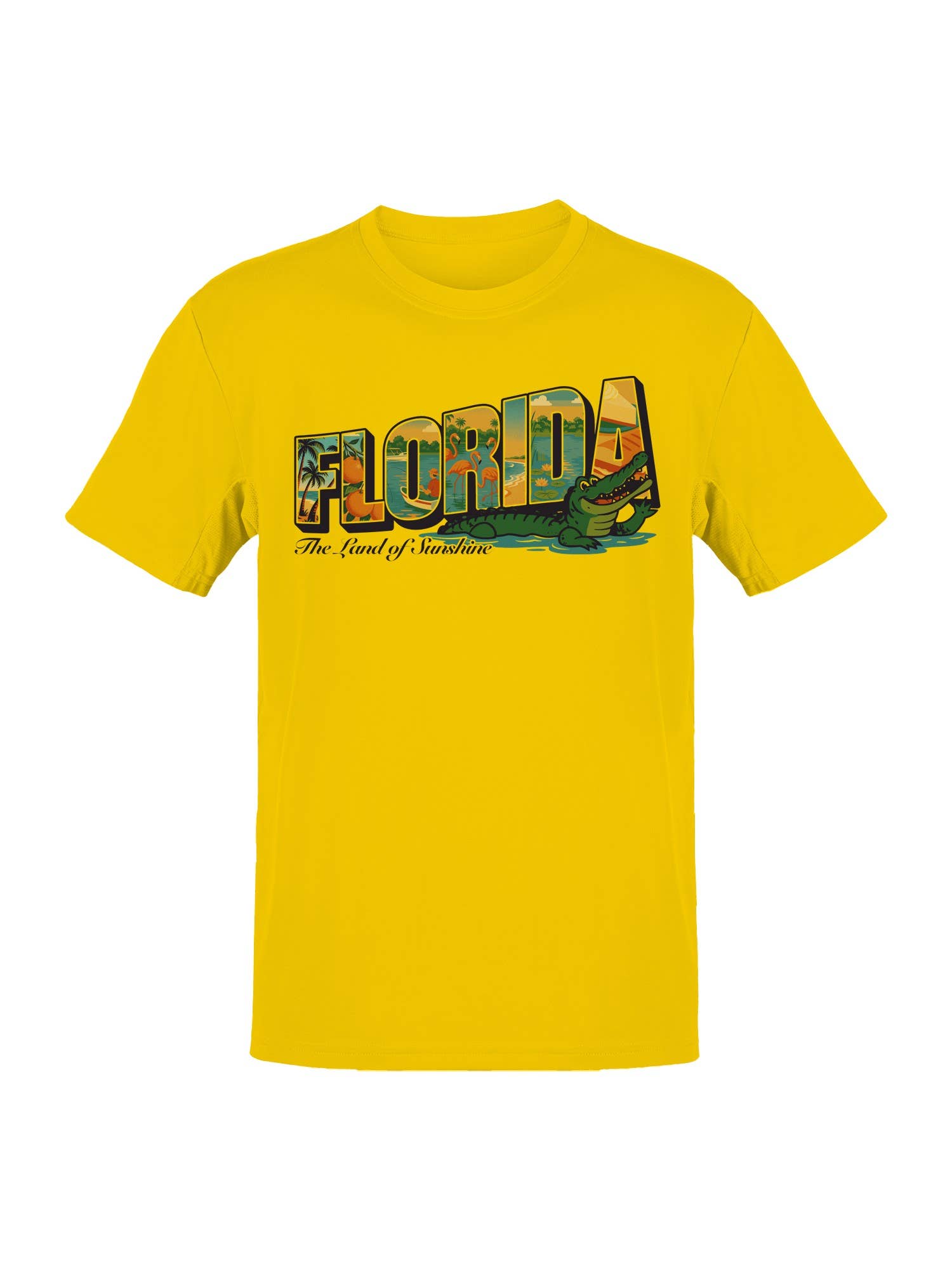 Florida - the Land of Sunshine Men's T-Shirt Hoodie, Sweatshirt | PodTeesHub.com