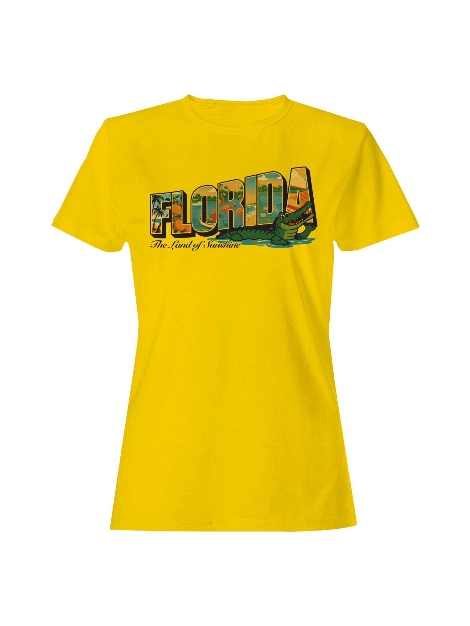 Florida - the Land of Sunshine Women's T-Shirt Hoodie, Sweatshirt | PodTeesHub.com